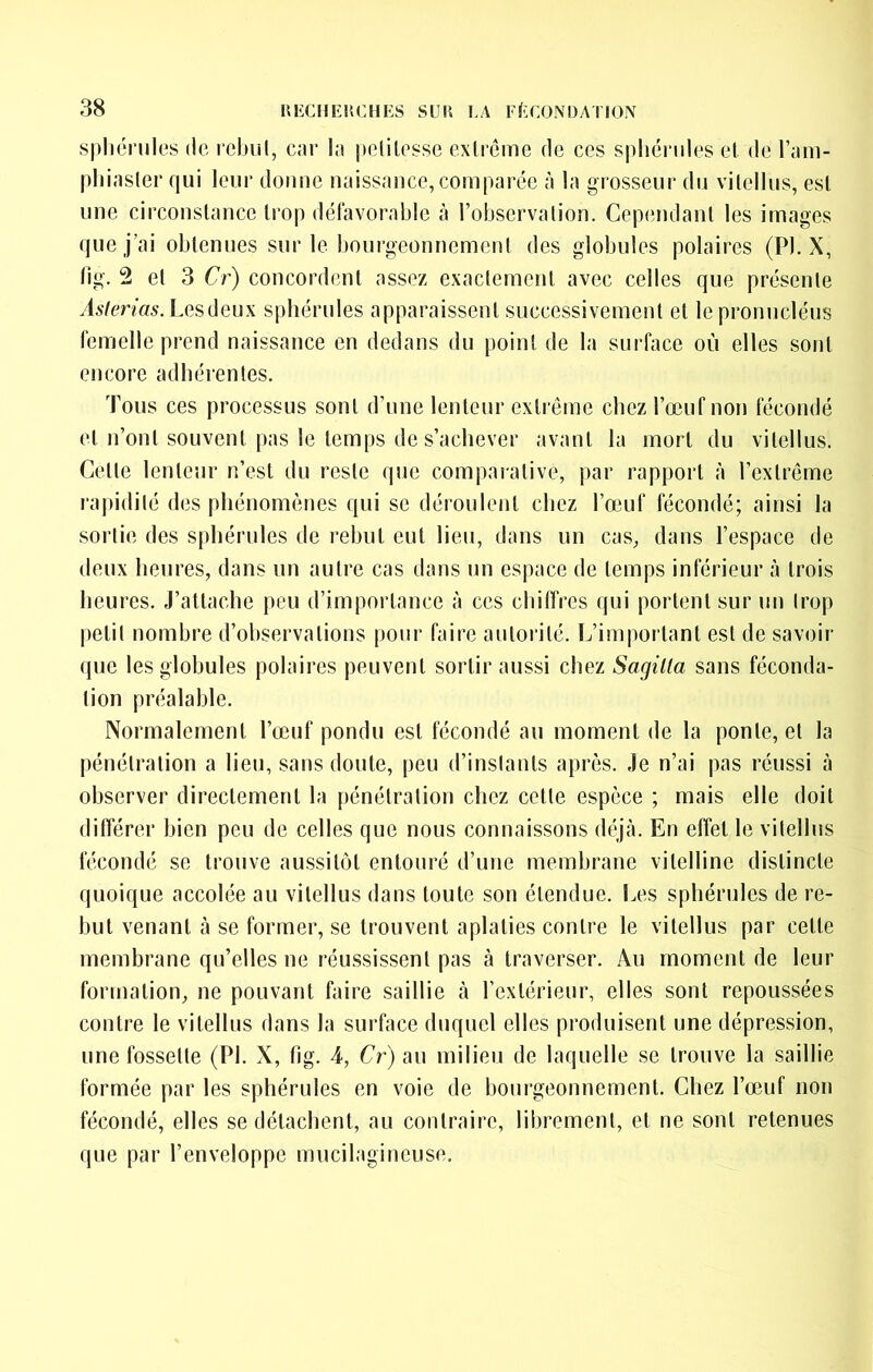 spliéniles de lebul, car la pelilessc extrême de ces spliériiles et de l’am- pliiasler qui leur donne naissance, comparée à la grosseur du vitellus, est une circonstance trop défavorable à l’observation. Cependant les images que j’ai obtenues sur le bourgeonnement des globules polaires (PI. X, lig. 2 et 3 Cr) concordent assez exactement avec celles que présente Asierias. Lesdeux sphérules apparaissent successivement et le pronucléus femelle prend naissance en dedans du point de la surface où elles sont encore adhérentes. Tous ces processus sont d’une lenteur extrême chez l’œuf non fécondé et n’ont souvent pas le temps de s’achever avant la mort du vitellus. Celle lenteur n’est du reste que compaialive, par rapport à l’extrême rapidilé des phénomènes qui se déroulent chez l’œuf fécondé; ainsi la sortie des sphérules de rebut eut lieu, dans un cas, dans l’espace de deux heures, dans un autre cas dans un espace de temps inférieur à trois heures. J’attache peu d’importance à ces chitfres qui portent sur nu trop petit nombre d’observations pour faire autorité. L’important est de savoir (pie les globules polaires peuvent sortir aussi chez Sagilta sans féconda- lion préalable. Normalement l’œuf pondu est fécondé au moment de la ponte, et la pénétration a lieu, sans doute, peu d’inslanls après. Je n’ai pas réussi à observer directement la pénétration chez celle espèce ; mais elle doit différer bien peu de celles que nous connaissons déjà. En effet le vitellus fécondé se trouve aussitôt entouré d’une membrane vitelline distincte quoique accolée au vitellus dans toute son étendue. Les sphérules de re- but venant à se former, se trouvent aplaties contre le vitellus par cette membrane qu’elles ne réussissent pas à traverser. Au moment de leur formation, ne pouvant faire saillie à l’extérieur, elles sont repoussées contre le vitellus dans la surface duquel elles produisent une dépression, une fossette (PI. X, fig. 4, Cr) au milieu de laquelle se trouve la saillie formée par les sphérules en voie de bourgeonnement. Chez l’œuf non fécondé, elles se détachent, au contraire, librement, et ne sont retenues que par l’enveloppe mucilagineuse.