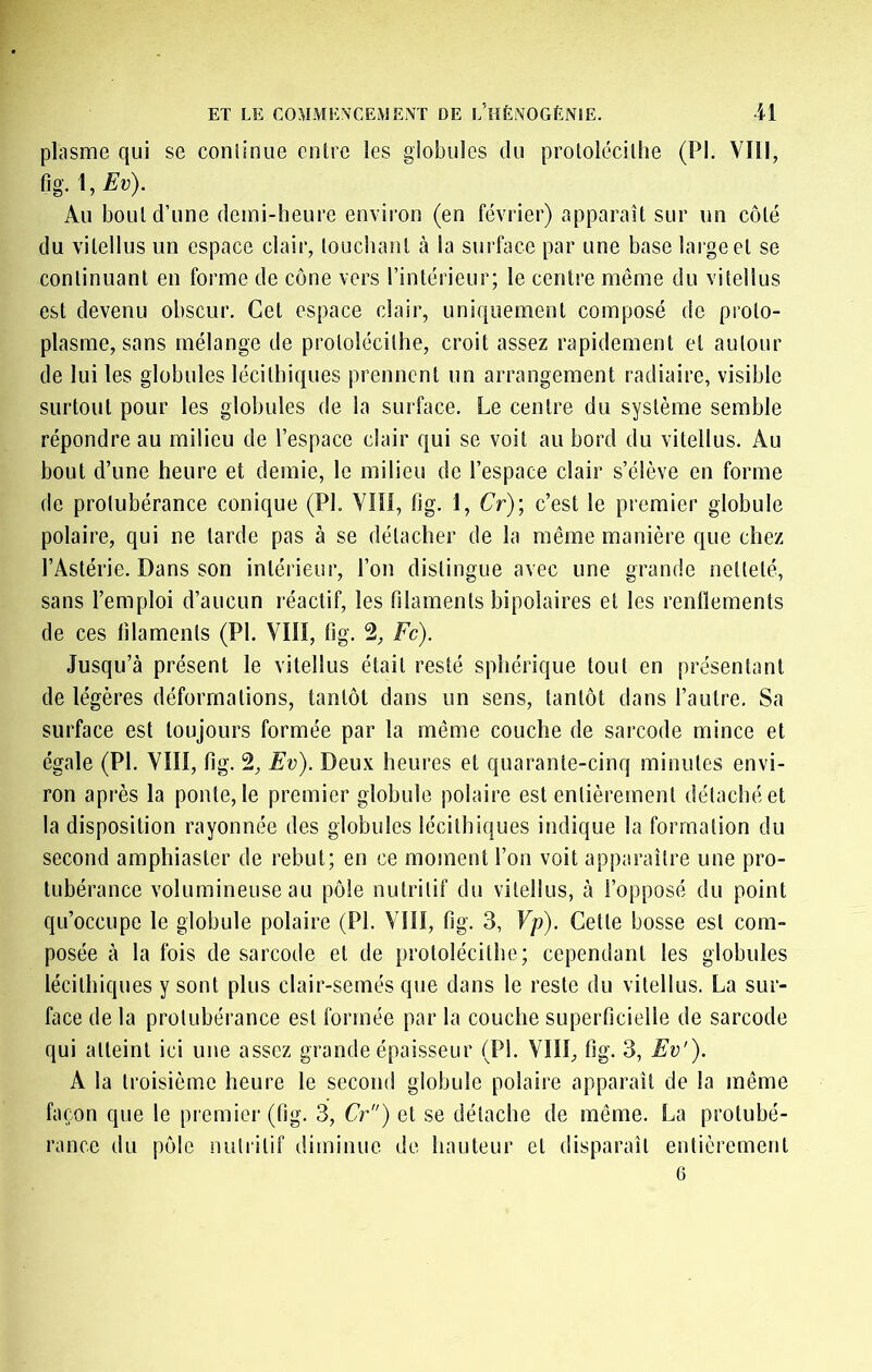 plasme qui se coniinue entre les globules du protolécilhe (PI. VIII, fig. \,Ev). Au bout d’une demi-heure environ (en février) apparaît sur un côté du vitellus un espace clair, louchant à la surface par une base large et se continuant en forme de cône vers l’intérieur; le centre même du vitellus est devenu obscur. Cet espace clair, uniquement composé de proto- plasme, sans mélange de protolécilhe, croit assez rapidement et autour de lui les globules lécilhiques prennent un arrangement radiaire, visible surtout pour les globules de la surface. Le centre du système semble répondre au milieu de l’espace clair qui se voit au bord du vitellus. Au bout d’une heure et demie, le milieu de l’espace clair s’élève en forme de protubérance conique (PI. VIII, fig. 1, Cr); c’est le premier globule polaire, qui ne larde pas à se détacher de la même manière que chez l’Astérie. Dans son intérieur, l’on distingue avec une grande netteté, sans l’emploi d’aucun réactif, les filaments bipolaires et les rendements de ces filaments (PI. VIII, fig. 2, Fc). Jusqu’à présent le vitellus était resté sphérique tout en présentant de légères déformations, tantôt dans un sens, tantôt dans l’autre. Sa surface est toujours formée par la même couche de sarcode mince et égale (PI. VIII, fig. 2, Ev). Deux heures et quarante-cinq minutes envi- ron après la ponte, le premier globule polaire est entièrement détaché et la disposition rayonnée des globules lécilhiques indique la formation du second amphiaster de rebut; en ce moment l’on voit apparaître une pro- tubérance volumineuse au pôle nutritif du vitellus, à l’opposé du point qu’occupe le globule polaire (PL VÎÎI, fig. 3, Vp). Cette bosse est com- posée à la fois de sarcode et de protolécilhe; cependant les globules lécilhiques y sont plus clair-semés que dans le reste du vitellus. La sur- face de la protubérance est formée par la couche superficielle de sarcode qui atteint ici une assez grande épaisseur (PI. VIII, fig. 3, Ev'). A la troisième heure le second globule polaire apparaît de la même façon que le premier (fig. 3, Or”) et se détache de même. La protubé- rance du pôle nuli'itif diminue de hauteur et disparaît entièrement 6