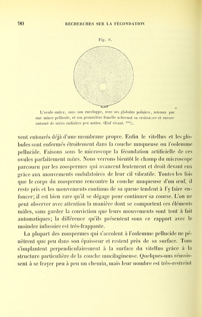 Fig. 8. L’ovule entier, sans son enveloppe, avec ses globules polaires , retenus par une mince pellicule, et son pronucléus femelle achevant sa croissance et encore entouré do stries radiaircs peu nettes. (Euf vivant. vent entourés déjà trmie membrane propre. Enrm le vitellus et les glo- bules sont enfermés étroitement dans la couche muqueuse ou l’oolemme pellucide. Faisons sous le microscope la fécondalion artificielle de ces ovules parfaitement mûrs. Nous verrons bientôt le champ du microscope parcouru par les zoospermes qui avancent lentement et droit devant eux üi'àce aux mouvements ondulatoires de leur cil vibratile. Toutes les fois que le corps du zoosperme rencontre la couche muqueuse d’un œuf, il reste pris et les mouvements continus de sa queue tendent à l’y faire en- foncer; il est bien rare qu’il se dégage pour continuer sa course. L’on ne peut observer avec attention la manière dont se comportent ces éléments males, sans garder la conviction que leurs mouvements sont tout à fait automatiques; la dilférence qu’ils présentent sous ce rapport avec le moindre infusoire est très-frappante. La plupart des zoospermes qui s’accolent à roolemme pellucide ne pé- nètrent que peu dans son épaisseur et restent près de sa surface. Tous s’implantent perpendiculairement à la surface du vitellus grâce à la structure particulière de la couche mucilagineuse. Quelques-uns réussis- sent à se frayer peu à peu un chemin, mais leur nombre est très-restreint