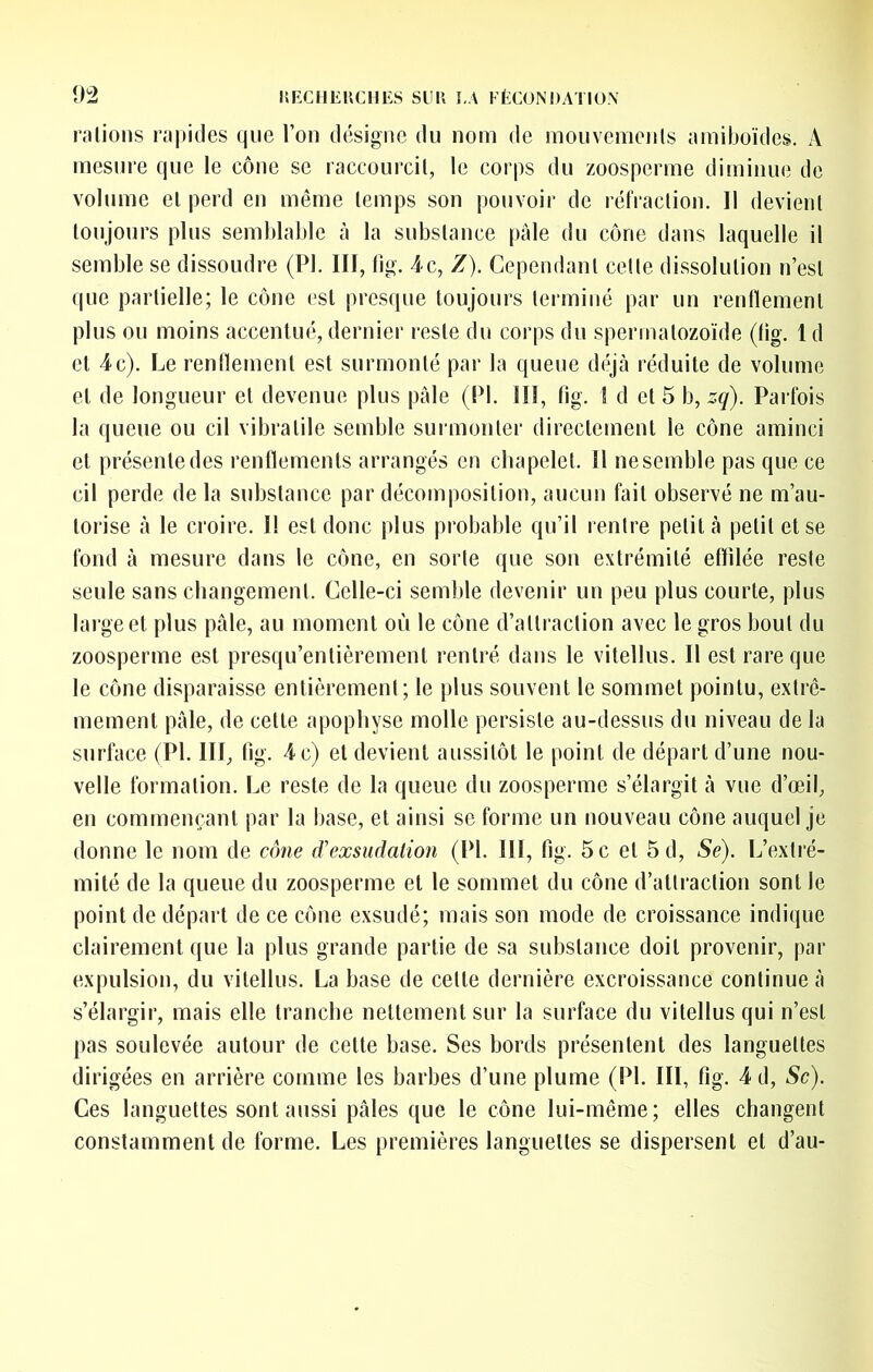 râlions nipides que l’on désigne du nom de mouvenienis amiboïdes. A mesure que le cône se raccourcit, le corps du zoosperme diminue de volume el perd en même temps son pouvoir de réfraction. 11 devient toujours plus semblable à la substance pâle du cône dans laquelle il semble se dissoudre (PI. III, fig. 4c, Z). Cependant celle dissolution n’est que partielle; le cône est presque toujours terminé par un rentlemenl plus ou moins accentué, dernier reste du corps du spermatozoïde (tig. 1 d el 4c). Le rentlemenl est surmonté par la queue déjà réduite de volume et de longueur el devenue plus pâle (PI. 1!I, fig. ! d et 5 b, zq). Parfois la queue ou cil vibralile semble surmonter directement le cône aminci el présente des renflements arrangés en chapelet. Il ne semble pas que ce cil perde de la substance par décomposition, aucun fait observé ne m’au- torise à le croire. I! est donc plus probable qu’il rentre petit à petit et se fond à mesure dans le cône, en sorte que son extrémité effilée reste seule sans changement. Celle-ci semble devenir un peu plus courte, plus large et plus pâle, au moment où le cône d’attraction avec le gros bout du zoosperme est presqu’enlièrement rentré dans le vilellus. Il est rare que le cône disparaisse entièrement; le plus souvent le sommet pointu, extrê- mement pâle, de cette apophyse molle persiste au-dessus du niveau de la surface (PI. III, fig. 4 c) et devient aussitôt le point de départ d’une nou- velle formation. Le reste de la queue du zoosperme s’élargit â vue d’œil, en commençant par la base, et ainsi se forme un nouveau cône auquel je donne le nom de cône d’exsudalion (PI. III, fig. 5 c el 5d, Se). L’extré- mité de la queue du zoosperme et le sommet du cône d’attraction sont le point de départ de ce cône exsudé; mais son mode de croissance indique clairement que la plus grande partie de sa substance doit provenir, par expulsion, du vitellus. La base de celle dernière excroissance continue â s’élargir, mais elle tranche nettement sur la surface du vitellus qui n’est pas soulevée autour de cette base. Ses bords présentent des languettes dirigées en arrière comme les barbes d’une plume (PI. III, fig. 4 d, Sc). Ces languettes sont aussi pâles que le cône lui-même; elles changent constamment de forme. Les premières languettes se dispersent et d’au-