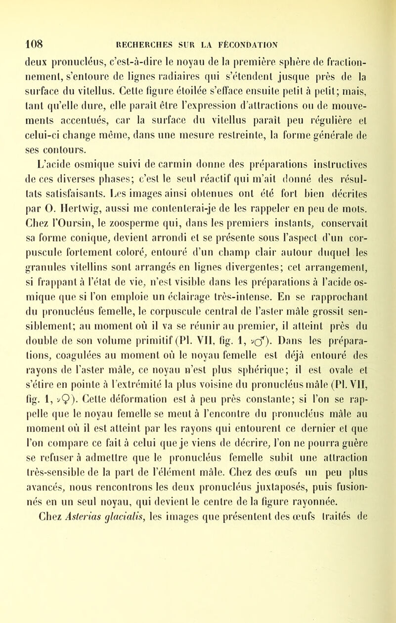 deux pronucléus, c’est-à-dire le noyau de la première sphère de fraction- nement, s’entoure de lignes radiaires qui s’étendent jusque près de la surface du vitellus. Celle figure étoilée s’efface ensuite petit à petit; mais, tant qu’elle dure, elle paraît être l’expression d’attractions ou de mouve- ments accentués, car la surface du vitellus paraît peu régulière et celui-ci change même, dans une mesure restreinte, la forme générale de ses contours. L’acide osmique suivi de carmin donne des préparations instructives de ces diverses phases; c’est le seul réactif qui m’ait donné des résul- tats satisfaisants. Les images ainsi obtenues ont été fort bien décrites par O. Herlwig, aussi me conlenlerai-je de les rappeler en peu de mots. Chez l’Oursin, le zoosperme qui, dans les premiers instants, conservait sa forme conique, devient arrondi et se présente sous l’aspect d’un cor- puscule fortement coloré, entouré d’un champ clair autour duquel les granules vilellins sont arrangés en lignes divergentes; cet arrangement, si frappant à l’état de vie, n’est visible dans les préparations à l’acide os- mique que si l’on emploie un éclairage très-intense. En se rapprochant du pronucléus femelle, le corpuscule central de l’aster mâle grossit sen- siblement; au moment où il va se réunir au premier, il atteint près du double de son volume primitif (PI. VII, tig. 1, vcf). Dans les prépara- tions, coagulées au moment où le noyau femelle est déjà entouré des rayons de l’aster mâle, ce noyau n’est plus sphérique; il est ovale et s’étire en pointe à l’extrémité la plus voisine du pronucléus mâle (PI. VII, fig. 1, v9)- Cette déformation est à peu près constante; si l’on se rap- pelle que le noyau femelle se meut à l’encontre du pronucléus mâle au moment où il est atteint par les rayons qui entourent ce dernier et que l’on compare ce fait à celui que je viens de décrire, l’on ne pourra guère se refuser à admettre que le pronucléus femelle subit une attraction très-sensible de la part de l’élément mâle. Chez des œufs un peu plus avancés, nous rencontrons les deux pronucléus juxtaposés, puis fusion- nés en un seul noyau, qui devient le centre de la figure rayonnée. Chez Aslerias glacialis, les images que présentent des œufs traités de