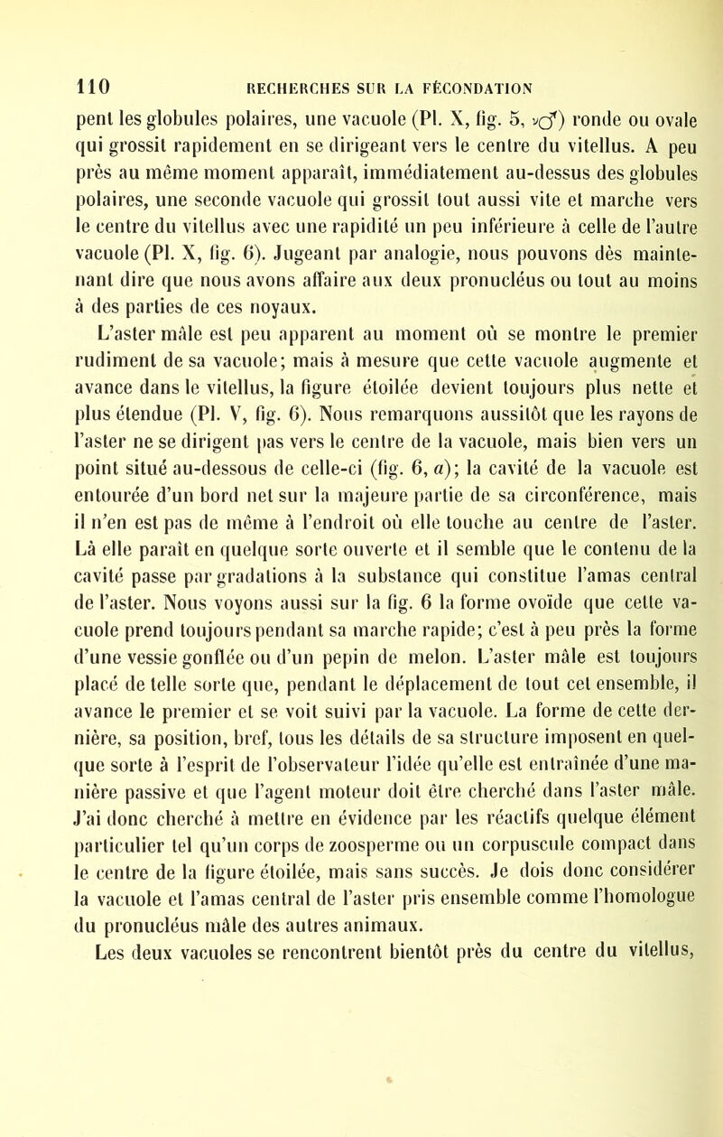 penl les globules polaires, une vacuole (PI. X, lig. 5, vcf) ronde ou ovale qui grossit rapidement en se dirigeant vers le centre du vitellus. A peu près au même moment apparaît, immédiatement au-dessus des globules polaires, une seconde vacuole qui grossit tout aussi vite et marche vers le centre du vitellus avec une rapidité un peu inférieure à celle de l’autre vacuole (PI. X, lig. 6). Jugeant par analogie, nous pouvons dès mainte- nant dire que nous avons affaire aux deux pronucléus ou tout au moins à des parties de ces noyaux. L’aster male est peu apparent au moment où se montre le premier rudiment de sa vacuole; mais à mesure que cette vacuole augmente et avance dans le vitellus, la figure étoilée devient toujours plus nette et plus étendue (PI. V, fig. 6). Nous remarquons aussitôt que les rayons de l’aster ne se dirigent pas vers le centre de la vacuole, mais bien vers un point situé au-dessous de celle-ci (fig. 6, a); la cavité de la vacuole est entourée d’un bord net sur la majeure partie de sa circonférence, mais il n’en est pas de même à l’endroit où elle touche au centre de l’aster. Là elle paraît en quelque sorte ouverte et il semble que le contenu de la cavité passe par gradations à la substance qui constitue l’amas central de l’aster. Nous voyons aussi sur la fig. 6 la forme ovoïde que cette va- cuole prend toujours pendant sa marche rapide; c’est à peu près la forme d’une vessie gonflée ou d’un pépin de melon. L’aster mâle est toujours placé de telle sorte que, pendant le déplacement de tout cet ensemble, il avance le premier et se voit suivi par la vacuole. La forme de celte der- nière, sa position, bref, tous les détails de sa structure imposent en quel- que sorte à l’esprit de l’observateur l’idée qu’elle est entraînée d’une ma- nière passive et que l’agent moteur doit être cherché dans l’aster mâle. J’ai donc cherché à mettre en évidence par les réactifs quelque élément particulier tel qu’un corps de zoosperme ou un corpuscule compact dans le centre de la figure étoilée, mais sans succès. Je dois donc considérer la vacuole et l’amas central de l’aster pris ensemble comme l’homologue du pronucléus mâle des autres animaux. Les deux vacuoles se rencontrent bientôt près du centre du vitellus,