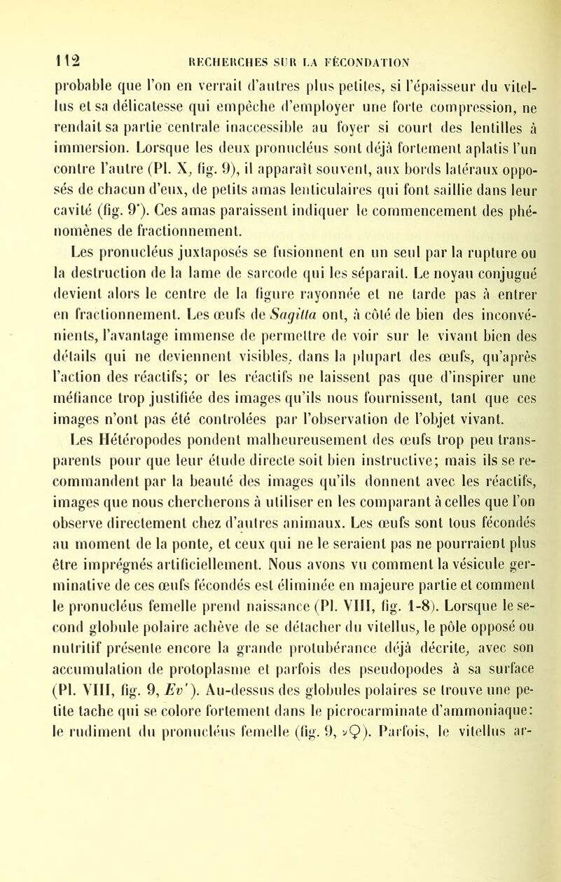 probable que l’on en verrait d’antres plus petites, si l’épaisseur du vilel- lus et sa délicatesse qui empêche d’employer une forte compression, ne rendait sa partie centrale inaccessible au foyer si court des lentilles à immersion. Lorsque les deux pronucléus sont déjà fortement aplatis l’un contre l’autre (PI. X, fig. 9), il apparaît souvent, aux bords latéraux oppo- sés de chacun d’enx, de petits amas lenticulaires qui font saillie dans leur cavité (fig. 9*). Ces amas paraissent indiquer le commencement des phé- nomènes de fractionnement. Les pronucléus Juxtaposés se fusionnent en un seul parla rupture ou la destruction de la lame de sarcode qui les séparait. Le noyau conjugué devient alors le centre de la figure rayonnée et ne tarde pas à entrer en fractionnement. Les œufs de Sagilta ont, à côté de bien des inconvé- nients, l’avantage immense de permettre de voir sur le vivant bien des détails qui ne deviennent visibles, dans la plupart des œufs, qu’après l’action des réactifs; or les réactifs ne laissent pas que d’inspirer une méfiance trop justifiée des images qu’ils nous fournissent, tant que ces images n’ont pas été contrôlées par l’observation de l’objet vivant. Les Hétéropodes pondent malhenreusement des œufs trop peu trans- parents pour que leur étude directe soit bien instructive; mais ils se re- commandent par la beauté des images qu’ils donnent avec les réactifs, images que nous chercherons à utiliser en les comparant à celles que l’on observe directement chez d’autres animaux. Les œufs sont tous fécondés au moment de la ponte, et ceux qui ne le seraient pas ne pourraient plus être imprégnés artificiellement. Nous avons vu comment la vésicule ger- minative de ces œufs fécondés est éliminée en majeure partie et comment le pronucléus femelle prend naissance (PI. VIII, fig. 1-8). Lorsque le se- cond globule polaire achève de se détacher du vitellus, le pôle opposé ou nutritif présente encore la grande protubérance dtqà décrite, avec son accumulation de protoplasme et parfois des pseudopodes à sa surface (PL YIII, fig. 9, Ev'). Au-dessus des globules polaires se trouve une pe- tite tache qui se colore fortement dans le picrocarminate d’ammoniaque: le rudiment du pronucléus femelle (fig. 9, vÇ). Parfois, le vitellus ar-