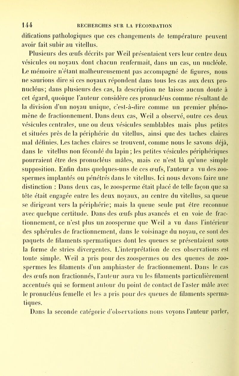 (lificalions pathologiques que ces changements de température peuvent avoir fait subir au vitellus. Plusieurs des œufs décrits par Weil présentaient vers leur centre deux vésicules ou noyaux dont chacun renfermait, dans un cas, un nucléole. Le mémoire n’étant malheureusement pas accom|)agné de figures, nous ne saurions dire si ces noyaux répondent dans tous les cas aux deux pro- nucléus; dans plusieurs des cas, la description ne laisse aucun doute à cet égard, quoique l’auteur considère ces pronucléus comme résultant de la division d’un noyau unique, c’est-à-dire comme un premier phéno- mène de fractionnement. Dans deux cas, Weil a observé, outre ces deux vésicules centrales, une ou deux vésicules semblables mais plus petites et situées près de la périphérie du vitellus, ainsi que des taches claires mal définies. Les taches claires se trouvent, comme nous le savons déjà, dans le vitellus non fécondé du lapin ; les petites vésicules périphériques pourraient être des pronucléus mâles, mais ce n’est là qu’une simple supposition. Enfin dans quelques-uns de ces œufs, l’auteur a vu des zoo- spermes implantés ou pénétrés dans le vitellus. Ici nous devons faire une distinction : Dans deux cas, le zoosperme était placé de telle façon que sa tête était engagée entre les deux noyaux, au centre du vitellus, sa queue se dirigeant vers la périphérie; mais la queue seule put être reconnue avec quelque certitude. Dans des œufs plus avancés et en voie de frac- tionnement, ce n’est plus un zoosperme que Weil a vu dans l’intérieur des sphérules de fractionnement, dans le voisinage du noyau, ce sont des paquets de filaments spermatiques dont les queues se présentaient sous la forme de stiies diveigentes. L’interprétation de ces observations est toute simple. Weil a pris pour des zoospermes ou des queues de zoo- spermes les filaments d’un amphiaster de fractionnement. Dans le cas des œufs non fractionnés, l’auteur aura vu les filaments particulièrement accentués qui se forment autour du point de contact de l’asler mâle avec le pronucléus femelle et les a pi is pour des queues de filaments sperma- tiques. Dans la seconde catégorie d’observations nous voyons l’auteur parler,