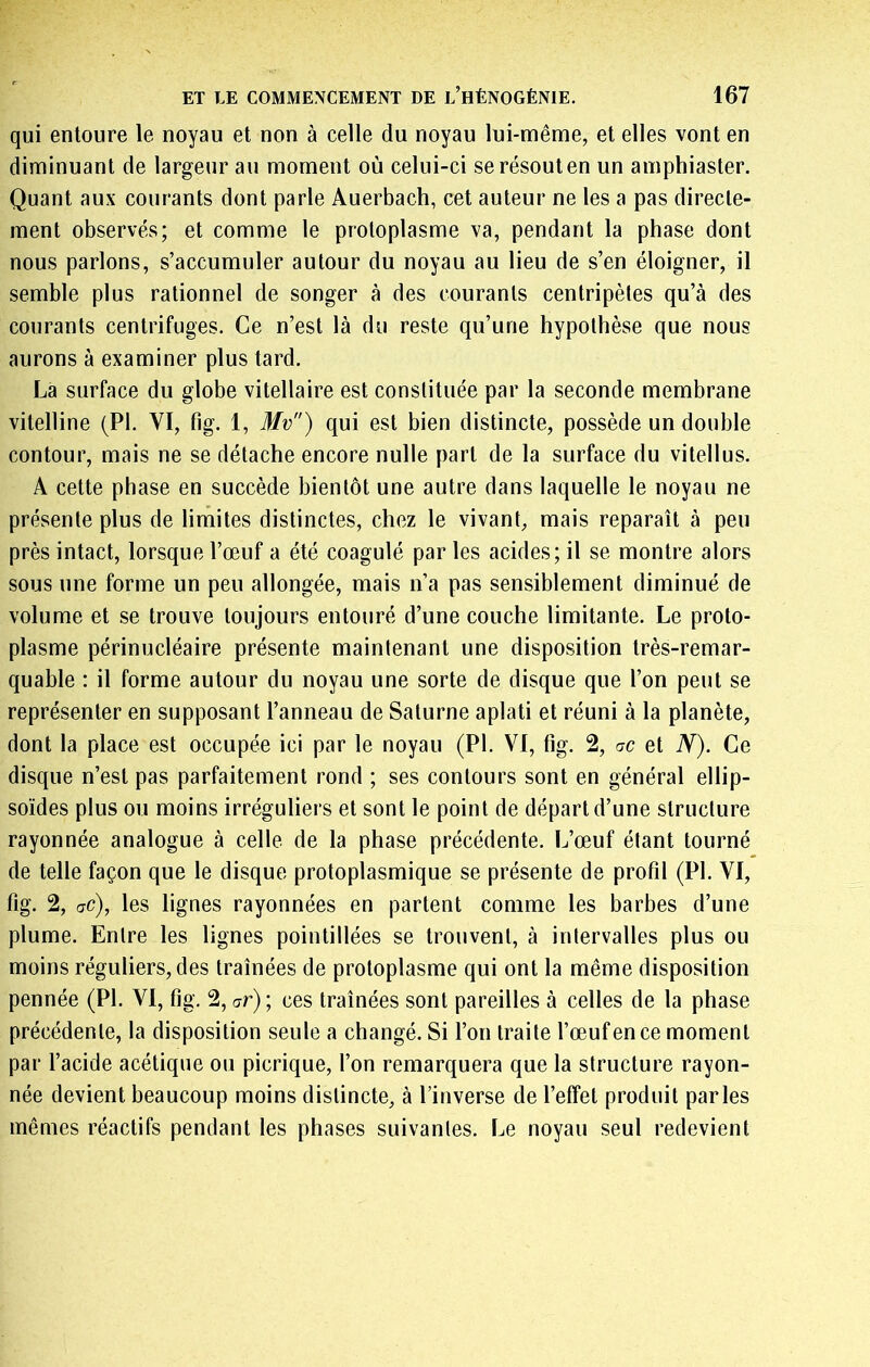 qui entoure le noyau et non à celle du noyau lui-même, et elles vont en diminuant de largeur au moment où celui-ci se résout en un amphiaster. Quant aux courants dont parle Auerbach, cet auteur ne les a pas directe- ment observés; et comme le protoplasme va, pendant la phase dont nous parlons, s’accumuler autour du noyau au lieu de s’en éloigner, il semble plus rationnel de songer à des courants centripètes qu’à des courants centrifuges. Ce n’est là du reste qu’une hypothèse que nous aurons à examiner plus tard. La surface du globe vitellaire est constituée par la seconde membrane vitelline (PI. VI, fig. 1, Mv) qui est bien distincte, possède un double contour, mais ne se détache encore nulle part de la surface du vitellus. A cette phase en succède bientôt une autre dans laquelle le noyau ne présente plus de limites distinctes, chez le vivant, mais reparaît à peu près intact, lorsque l’œuf a été coagulé par les acides; il se montre alors sous une forme un peu allongée, mais n’a pas sensiblement diminué de volume et se trouve toujours entouré d’une couche limitante. Le proto- plasme périnucléaire présente maintenant une disposition très-remar- quable : il forme autour du noyau une sorte de disque que l’on peut se représenter en supposant l’anneau de Saturne aplati et réuni à la planète, dont la place est occupée ici par le noyau (PI. VI, fig. 2, ac et N). Ce disque n’est pas parfaitement rond ; ses contours sont en général ellip- soïdes plus ou moins irréguliers et sont le point de départ d’une structure rayonnée analogue à celle de la phase précédente. L’œuf étant tourné de telle façon que le disque protoplasmique se présente de profil (PI. VI, fig. 2, ac), les lignes rayonnées en partent comme les barbes d’une plume. Entre les lignes pointillées se trouvent, à intervalles plus ou moins réguliers, des traînées de protoplasme qui ont la même disposition pennée (PI. VI, fig. 2, (7r); ces traînées sont pareilles à celles de la phase précédente, la disposition seule a changé. Si l’on traite l’œuf en ce moment par l’acide acétique ou picrique, l’on remarquera que la structure rayon- née devient beaucoup moins distincte, à l’inverse de l’effet produit parles mêmes réactifs pendant les phases suivantes. Le noyau seul redevient