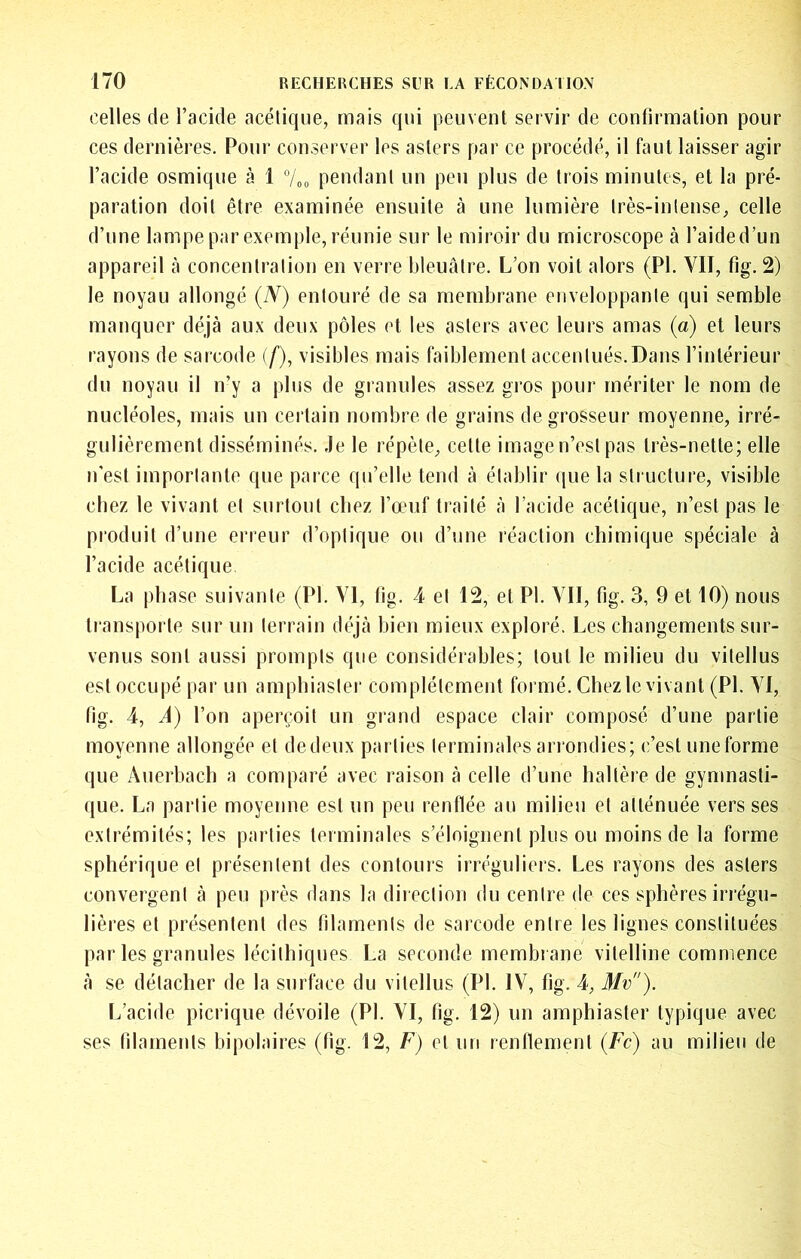 celles de l’acide acélique, mais qui peuvent servir de confirmation pour ces dernières. Pour conserver les asters par ce procédé, il faut laisser agir l’acide osmique à 1 7oo pendant un peu plus de trois minutes, et la pré- paration doit être examinée ensuite à une lumière très-intense, celle d’une lampe par exemple, réunie sur le miroir du microscope à l’aide d’un appareil à concentration en verre bleuâtre. L’on voit alors (PI. VII, fig. 2) le noyau allongé (N) entouré de sa membrane enveloppante qui semble manquer déjà aux deux pôles et les asters avec leurs amas (a) et leurs rayons de sarcode if), visibles mais faiblement accentués.Dans l’intérieur du noyau il n’y a plus de granules assez gros pour mériter le nom de nucléoles, mais un certain nombre de grains de grosseur moyenne, irré- gulièrement disséminés. Je le répète, cette image n’est pas très-nette; elle n’est importante que parce qu’elle tend à établir (jue la structure, visible chez le vivant et surtout chez l’œuf traité à l’acide acélique, n’est pas le produit d’une erreur d’optique ou d’une réaction chimique spéciale à l’acide acétique La phase suivante (PI. VI, fig. 4 et 12, et PI. VII, fig. 3, 9 et 10) nous ti’ansporle sur un terrain déjà bien mieux exploré. Les changements sur- venus sont aussi prompts que considérables; tout le milieu du vilellus est occupé par un amphiasler complètement formé. Chez le vivant (PI. VI, fig. 4, A) l’on aperçoit un grand espace clair composé d’une partie moyenne allongée et de deux parties terminales arrondies; c’est une forme que Auerbach a comparé avec raison à celle d’une haltère de gymnasti- que. La partie moyenne est un peu renflée au milieu et atténuée vers ses extrémités; les parties terminales s’éloignent plus ou moins de la forme sphérique et présentent des contours irréguliers. Les rayons des asters convergent à peu près dans la direction du centre de ces sphères irrégu- lières et présentent des filaments de sarcode entre les lignes constituées par les granules lécithiques La seconde membrane vitelline commence à se détacher de la surface du vitellus (PI. IV, fig. 4, Mv). L’acide picriqiie dévoile (PI. VI, fig. 12) un amphiaster typique avec ses filaments bipolaires (fig. 12, F) et un renflement (Fc) au milieu de