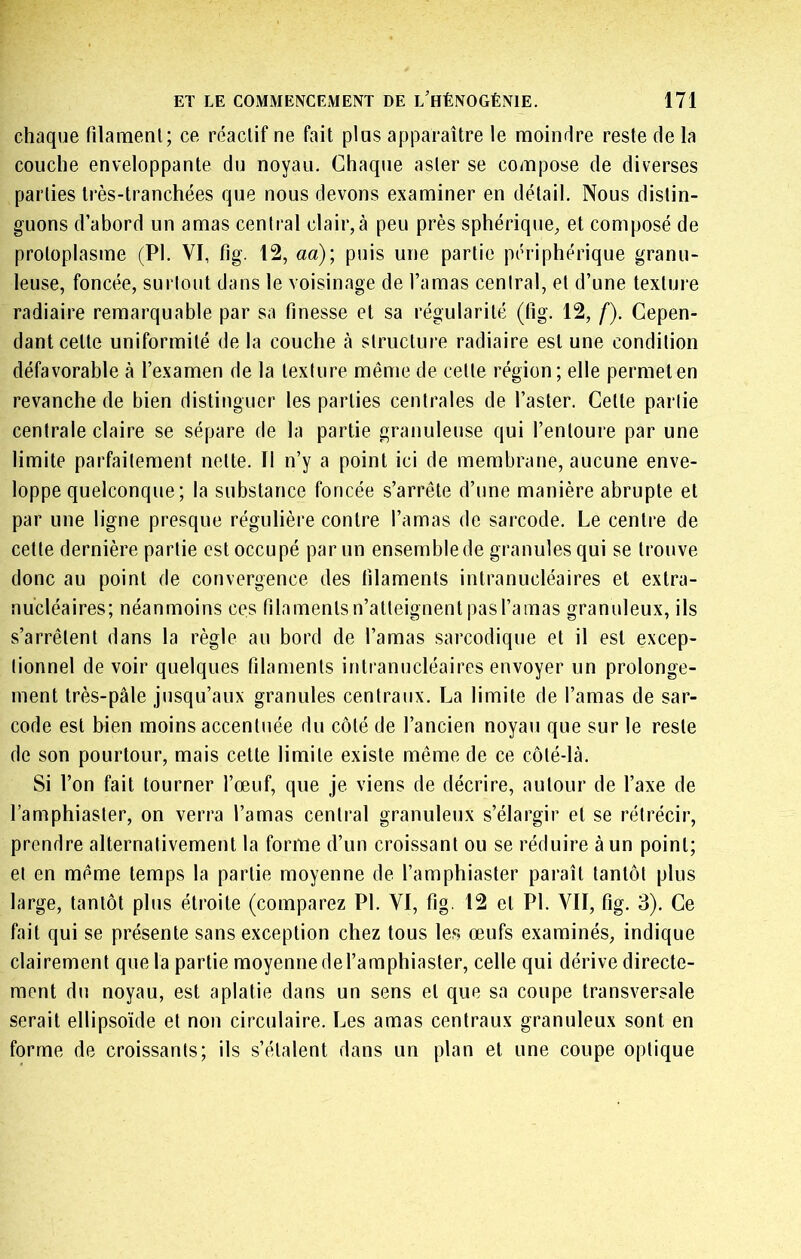 chaque filament; ce réactif ne fait plus apparaître le moindre reste de la couche enveloppante du noyau. Chaque aster se compose de diverses parties très-tranchées que nous devons examiner en détail. Nous distin- guons d’abord un amas central clair,à peu près sphérique, et composé de protoplasme (PI. VI, fig. 12, aa)\ puis une partie périphérique granu- leuse, foncée, surtout dans le voisinage de l’amas central, et d’une texture radiaire remarquable par sa finesse et sa régularité (fig. 12, f). Cepen- dant cette uniformité de la couche à structure radiaire est une condition défavorable à l’examen de la texture même de cette région ; elle permet en revanche de bien distinguer les parties centrales de l’aster. Cette partie centrale claire se sépare de la partie granuleuse qui l’entoure par une limite parfaitement nette. Il n’y a point ici de membrane, aucune enve- loppe quelconque; la substance foncée s’arrête d’une manière abrupte et par une ligne presque régulière contre l’amas de sarcode. Le centre de cette dernière partie est occupé par un ensemble de granules qui se trouve donc au point de convergence des filaments intranucléaires et extra- nucléaires; néanmoins ces niamentsn’atteignentpasl’amas granuleux, ils s’arrêtent dans la règle au bord de l’amas sarcodique et il est excep- tionnel de voir quelques filaments intranucléaires envoyer un prolonge- ment très-pâle jusqu’aux granules centraux. La limite de l’amas de sar- code est bien moins accentuée du côté de l’ancien noyau que sur le reste de son pourtour, mais cette limite existe même de ce côté-là. Si l’on fait tourner l’œuf, que je viens de décrire, autour de l’axe de l’amphiaster, on verra l’amas central granuleux s’élargir et se rétrécir, prendre alternativement la forme d’un croissant ou se réduire à un point; et en même temps la partie moyenne de l’amphiaster paraît tantôt plus large, tantôt plus étroite (comparez PI. VI, fig. 12 et PI. VII, fig. 3). Ce fait qui se présente sans exception chez tous les œufs examinés, indique clairement que la partie moyenne de l’amphiaster, celle qui dérive directe- ment du noyau, est aplatie dans un sens et que sa coupe transversale serait ellipsoïde et non circulaire. Les amas centraux granuleux sont en forme de croissants; ils s’étalent dans un plan et une coupe optique