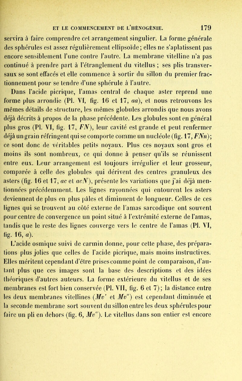 servira à faire comprendre cet arrangement singulier. La forme générale des sphérules est assez régulièrement ellipsoïde; elles ne s’aplatissent pas encore sensiblement l’une contre l’autre. La membrane vitelline n’a pas continué à prendre part à l’étranglement du vitellus ; ses plis transver- saux se sont effacés et elle commence à sortir du sillon du premier frac- tionnement pour se tendre d’une sphérule à l’autre. Dans l’acide picrique, l’amas central de chaque aster reprend une forme plus airondie (PI. VI, fig. 16 et 17, ad), et nous retrouvons les mêmes détails de structure, les mêmes globules arrondis que nous avons déjà décrits à propos de la phase précédente. Les globules sont en général plus gros (PI. YI, fig. 17, FN), leur cavité est grande et peut renfermer déjà un grain réfringent qui se comporte comme un nucléole (fig. 17, FNn); ce sont donc de véritables petits noyaux. Plus ces noyaux sont gros et moins ils sont nombreux, ce qui donne à penser qu’ils se réunissent entre eux. Leur arrangement est toujours irrégulier et leur grosseur, comparée à celle des globules qui dérivent des centres granuleux des asters (fig. 16 et 17, ac et acN), présente les variations que j’ai déjà men- tionnées précédemment. Les lignes rayonnées qui entourent les asters deviennent de plus en plus pâles et diminuent de longueur. Celles de ces lignes qui se trouvent au côté externe de l’amas sarcodique ont souvent pour centre de convergence un point situé à l’extrémité externe de l’amas, tandis que le reste des lignes converge vers le centre de l’amas (PI. VI, fig. 16, a). L’acide osmique suivi de carmin donne, pour cette phase, des prépara- tions plus jolies que celles de l’acide picrique, mais moins instructives. Elles méritent cependant d’être prises comme point de comparaison, d’au- tant plus que ces images sont la base des descriptions et des idées théoriques d’autres auteurs. La forme extérieure du vitellus et de ses membranes est fort bien conservée (PI. VII, fig. 6 et 7); la distance entre les deux membranes vitellines (Mv' et Mv) est cependant diminuée et la seconde membrane sort souvent du sillon entre les deux sphérules pour faire un pli en dehors (fig. 6, Mv). Le vitellus dans son entier est encore