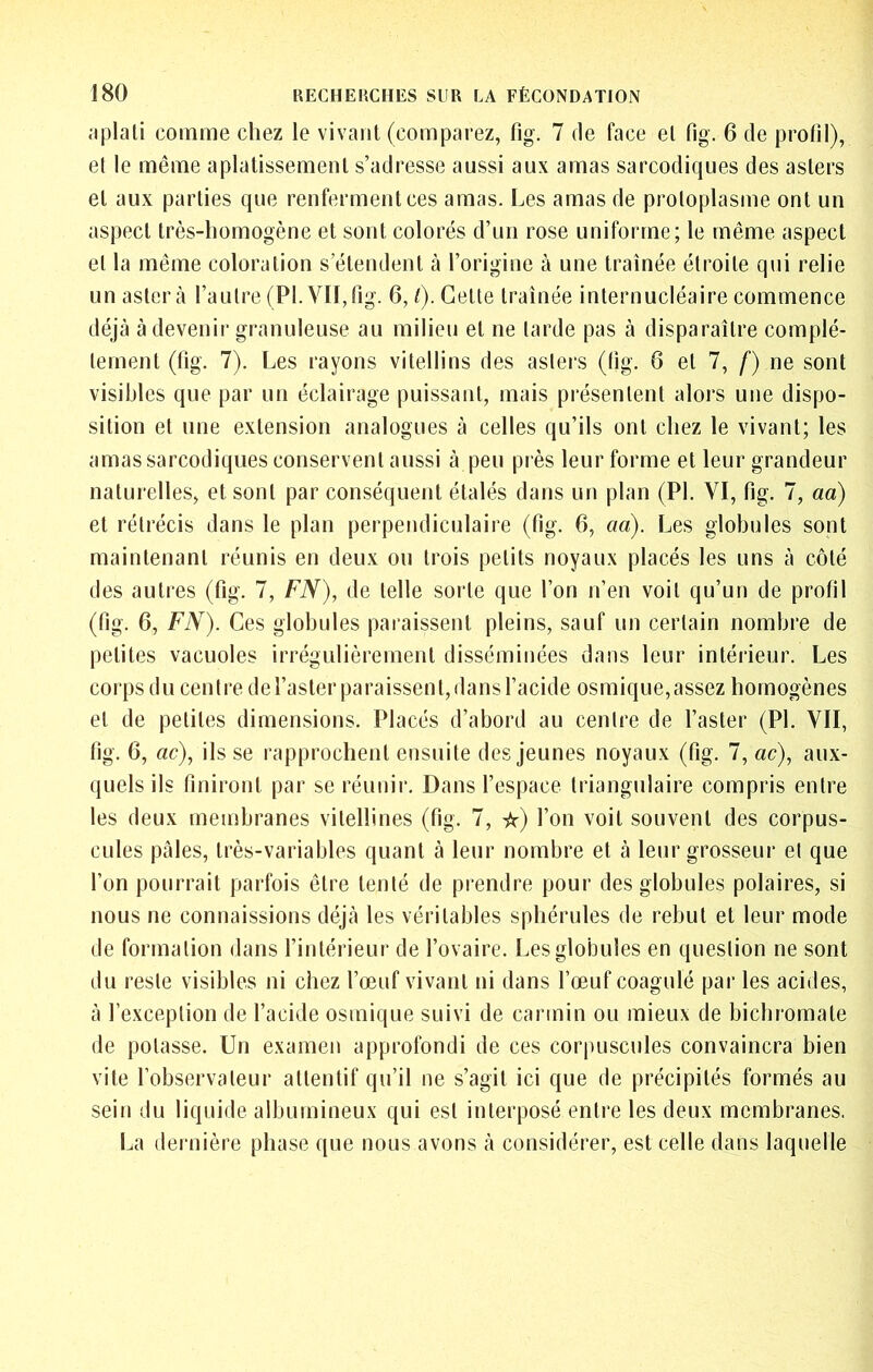 nplaü comme chez le vivant (comparez, fig. 7 de face et fig. 6 de profil), et le même aplatissement s’adresse aussi aux amas sarcodiques des asters et aux parties que renferment ces amas. Les amas de protoplasme ont un aspect très-homogène et sont colorés d’un rose uniforme; le même aspect et la même coloration s’étendent à l’origine à une traînée étroite qui relie un aster à l’autre (PI. Vil, fig. 6, /). Cette traînée internucléaire commence déjà à devenir granuleuse au milieu et ne tarde pas à disparaître complè- tement (fig. 7). Les rayons vitellins des asters (fig. 6 et 7, f) ne sont visibles que par un éclairage puissant, mais présentent alors une dispo- sition et une extension analogues à celles qu’ils ont chez le vivant; les amas sarcodiques conservent aussi à peu près leur forme et leur grandeur naturelles, et sont par conséquent étalés dans un plan (PL VI, fig. 7, aa) et rétrécis dans le plan perpendiculaire (fig. 6, aa). Les globules sont maintenant réunis en deux ou trois petits noyaux placés les uns à côté des autres (fig. 7, FN), de telle sorte que l’on n’en voit qu’un de profil (fig. 6, FN). Ces globules paraissent pleins, sauf un certain nombre de petites vacuoles irrégulièrement disséminées dans leur intérieur. Les corps du centre del’aster paraissent,dansl’acide osmique,assez homogènes et de petites dimensions. Placés d’abord au centre de l’aster (PL VII, fig. 6, ac), ils se rapprochent ensuite des jeunes noyaux (fig. 7, ac), aux- quels ils finiront par se réunir. Dans l’espace triangulaire compris entre les deux membranes vitellines (fig. 7, -jîr) l’on voit souvent des corpus- cules pâles, très-variables quant à leur nombre et à leur grosseur et que l’on pourrait parfois être tenté de prendre pour des globules polaires, si nous ne connaissions déjà les véritables sphérules de rebut et leur mode de formation dans l’intérieur de l’ovaire. Les globules en question ne sont du reste visibles ni chez l’œuf vivant ni dans l’œuf coagulé par les acides, à l’exception de l’acide osmique suivi de carmin ou mieux de bichromate de potasse. Un examen approfondi de ces corpuscules convaincra bien vite l’observateur attentif qu’il ne s’agit ici que de précipités formés au sein du liquide albumineux qui est interposé entre les deux membranes. La dernière phase que nous avons à considérer, est celle dans laquelle