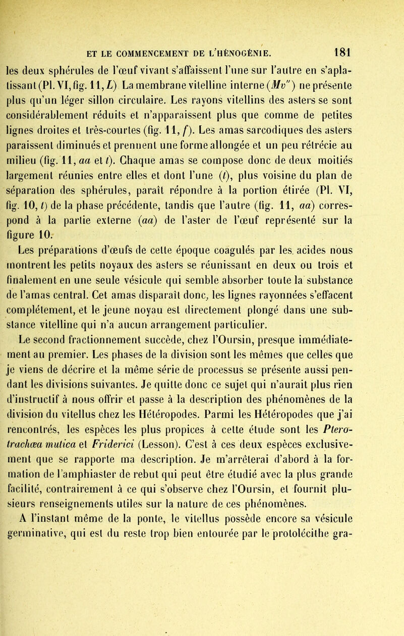 / ET LE COMMENCEMENT DE l’hÉNOGÉNIE. 181 les deux sphérules de l’œuf vivant s’affaissent l’une sur raulre en s’apla- tissant (PI. VI, fig. \\,L) La membrane vitelline interne(J/ü) ne présente plus qu’un léger sillon circulaire. Les rayons vitellins des asteis se sont considérablement réduits et n’apparaissent plus que comme de petites lignes droites et très-courtes (fig. 11, f). Les amas sarcodiques des asters paraissent diminués et prennent une forme allongée et un peu rétrécie au milieu (fig. 11, aa et l). Chaque amas se compose donc de deux moitiés largement réunies entre elles et dont l’une (f), plus voisine du plan de séparation des sphérules, paraît répondre à la portion étirée (PI. VI, fig. 10, t) de la phase précédente, tandis que l’autre (fig. 11, aa) corres- pond à la partie externe {aa) de l’aster de l’œuf représenté sur la figure 10. Les préparations d’œufs de cette époque coagulés par les. acides nous montrent les petits noyaux des asters se réunissant en deux ou trois et finalement en une seule vésicule qui semble absorber toute la substance de l’arnas central. Cet amas disparaît donc, les lignes rayonnées s’effacent complètement, et le jeune noyau est directement plongé dans une sub- stance vitelline qui n’a aucun arrangement particulier. Le second fractionnement succède, chez l’Oursin, presque immédiate- ment au premier. Les phases de la division sont les mêmes que celles que Je viens de décrire et la même série de processus se présente aussi pen- dant les divisions suivantes. Je quitte donc ce sujet qui n’aurait plus rien d’instructif à nous offrir et passe à la description des phénomènes de la division du vitellus chez les Hétéropodes. Parmi les Héléropodes que j’ai rencontrés, les espèces les plus propices à celte étude sont les Ptero- trachœa mutica e[ Friderici (Lesson). C’est à ces deux espèces exclusive- ment que se rapporte ma description. Je m’arrêterai d’abord à la for- mation de l’amphiaster de rebut qui peut être étudié avec la plus grande facilité, contrairement à ce qui s’observe chez l’Oursin, et fournit plu- sieurs renseignements utiles sur la nature de ces phénomènes. A l’instant même de la ponte, le vitellus possède encore sa vésicule germinative, qui est du reste trop bien entourée par le protolécithe gra-