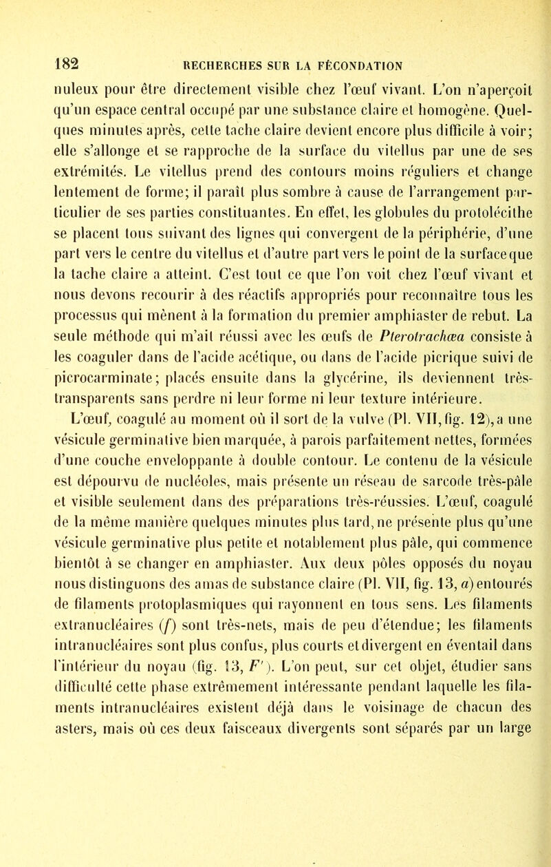 nuleux pour être directement visible chez l’œuf vivant. L’on n’aperçoit qu’un espace central occupé par une substance claire et homogène. Quel- ques minutes après, cette tache claire devient encore plus difficile à voir; elle s’allonge et se rapproche de la surface du vilellus par une de ses extrémités. Le vitellus prend des contours moins réguliers et change lentement de forme; il paraît plus sombre à cause de l’arrangement par- ticulier de ses parties constituantes. En effet, les globules du prololécilhe se placent tous suivant des lignes qui convergent de la périphérie, d’une part vers le centre du vitellus et d’autre part vers le point de la surfaceque la tache claire a atteint. C’est tout ce que l’on voit chez l’œuf vivant et nous devons recourir à des réactifs appropriés pour reconnaître tous les processus qui mènent à la formation du premier amphiaster de rebut. La seule méthode qui m’ait réussi avec les œufs de Pterotrachœa consiste à les coaguler dans de l’acide acétique, ou dans de l’acide picrique suivi de picrocarminate ; placés ensuite dans la glycérine, ils deviennent très- transparents sans perdre ni leur forme ni leur texture intérieure. L’œuf, coagulé au moment où il sort de la vulve (PI. VII, fig. 12),a une vésicule germinative bien marquée, à parois parfaitement nettes, formées d’une couche enveloppante à double contour. Le contenu de la vésicule est dépourvu de nucléoles, mais présente un réseau de sarcode très-pâle et visible seulement dans des préparations très-réussies. L’œuf, coagulé de la même manière quelques minutes plus tard, ne présente plus qu’une vésicule germinative plus petite et notablement plus pâle, qui commence bientôt â se changer en amphiaster. Aux deux pôles opposés du noyau nous distinguons des amas de substance claire (PI. VII, fig. 13, a) entourés de fdaments protoplasmiques qui rayonnent en tous sens. Les filaments extranucléaires (f) sont très-nets, mais de peu d’étendue; les filaments intranucléaires sont plus confus, plus courts et divergent en éventail dans l’intérieur du noyau (fig. 13, F'). L’on peut, sur cet objet, étudier sans difficulté cette phase extrêmement intéressante pendant laquelle les fila- ments intranucléaires existent déjà dans le voisinage de chacun des asters, mais où ces deux faisceaux divergents sont séparés par un large