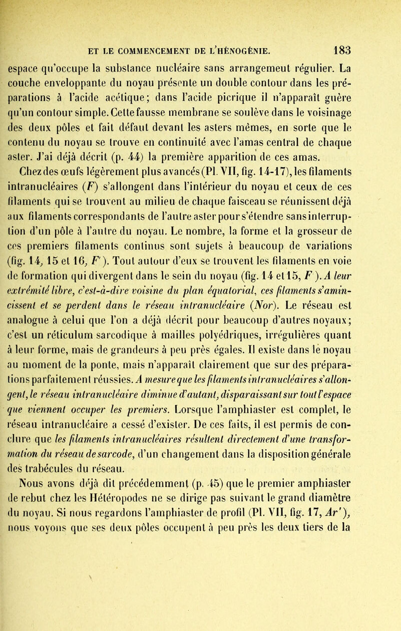 espace qu’occupe la substance nucléaire sans arrangemeut régulier. La couche enveloppante du noyau présente un double contour dans les pré- parations à l’acide acétique; dans l’acide picrique il n’apparaît guère qu’un contour simple. Cette fausse membrane se soulève dans le voisinage des deux pôles et fait défaut devant les asters mêmes, en sorte que le contenu du noyau se trouve en continuité avec l’amas central de chaque aster. J’ai déjà décrit (p. 44) la première apparition de ces amas. Chez des œufs légèrement plus avancés (PI. VII, fig. 14-17), les filaments intranucléaires (F) s’allongent dans l’intérieur du noyau et ceux de ces filaments qui se trouvent au milieu de chaque faisceau se réunissent déjà aux filaments correspondants de l’autre aster pour s’étendre sansinlerrup- lion d’un pôle à l’aulre du noyau. Le nombre, la forme et la grosseur de ces premiers filaments conlinus sont sujets à beaucoup de variations (fig. 14^ 15 et 16, F'). Tout autour d’eux se trouvent les filaments en voie de formation qui divergent dans le sein du noyau (fig. 14 et 15, F ).À leur exlrémilé libre, c'est-à-dire voisine du plan équatorial, ces lîlaments s'amin- cissent et se perdent dans le réseau intranucléaire (Nor). Le réseau est analogue à celui que l’on a déjà décrit pour beaucoup d’autres noyaux; c’est un réticulum sarcodique à mailles polyédriques, irrégulières quant à leur forme, mais de grandeurs à peu près égales. Il existe dans le noyau au moment de la ponte, mais n’apparaît clairement que sur des prépara- tions parfaitement réussies. A mesure que les filaments intranucléaires s'allon- gent, le réseau intranucléaire diminue d'autant, disparaissant sur tout l'espace que viennent occuper les premiers. Lorsque l’amphiasler est complet, le réseau intranucléaire a cessé d’exister. De ces faits, il est permis de con- clure que les filaments intranucléaires résultent directement d'une transfor- mation du réseau desarcode, d’un changement dans la disposition générale des trabécules du réseau. Nous avons déjà dit précédemment (p> 45) que le premier amphiaster de rebut chez les Hétéropodes ne se dirige pas suivant le grand diamètre du noyau. Si nous regardons l’amphiaster de profil (PI. VII, fig. 17, Ar’), nous voyons que ses deux pôles occupent à peu près les deux tiers de la