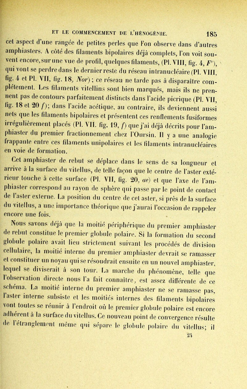 cel aspect d’une rangée de petites perles que Fon observe dans d’autres amphiasters. A côté des fdaments bipolaires déjà complets, l’on voit sou- vent encore, sur une vue de profil, quelques filaments, (PI. VIII, fig. 4, F'), ' qui vont se perdre dans le dernier reste du réseau intranucléaire (PI. VIII, fig. 4 et PI. VII, fig. 18, Nor); ce réseau ne tarde pas à disparaître com- plètement. Les filaments vitellins sont bien marqués, mais ils ne pren- nent pas de contours parfaitement distincts dans l’acide picrique (PI. VII, fig. 18 et 20 f); dans l’acide acétique, au contraire, ils deviennent aussi nets que les filaments bipolaires et présentent ces renflements fusiformes irrégulièrement placés (PI. VII. fig. 19, f) que j’ai déjà décrits pour l’am- phiaster du premier fractionnement chez l’Oursin. Il y a une analogie frappante entre ces filaments unipolaires et les filaments intranucléaires en voie de formation. Cet amphiaster de rebut se déplace dans le sens de sa longueur et arrive à la surface du vitellus, de telle façon que le centre de l’aster exté- rieur touche à cette surface (PI. VII, fig. 20, ae) et que l’axe de l’am- phiaster correspond au rayon de sphère qui passe par le point de contact de 1 aster externe. La position du centre de cet aster, si près de la surface du vitellus, a une importance théorique que j’aurai l’occasion de rappeler encore une fois. Nous savons déjà que la moitié périphérique du premier amphiaster de rebut constitue le premier globule polaire. Si la formation du second globule polaire avait lieu strictement suivant les procédés de division cellulaire, la moitié interne du premier amphiaster devrait se ramasser et constituer un noyau qui se résoudrait ensuite en un nouvel amphiaster, lequel se diviserait à son tour. La marche du phénomène, telle que 1 observation directe nous l’a fait connaître, est assez différente de ce schéma. La moitié interne du premier amphiaster ne se ramasse pas, 1 aster interne subsiste et les moitiés internes des filaments bipolaires vont toutes se réunir à l’endroit où le premier globule polaire est encore adhérent à la surface du vitellus,. Ce nouveau point de convergence résulte de 1 étranglement môme qui sépare le glohule polaire du vitellus; il