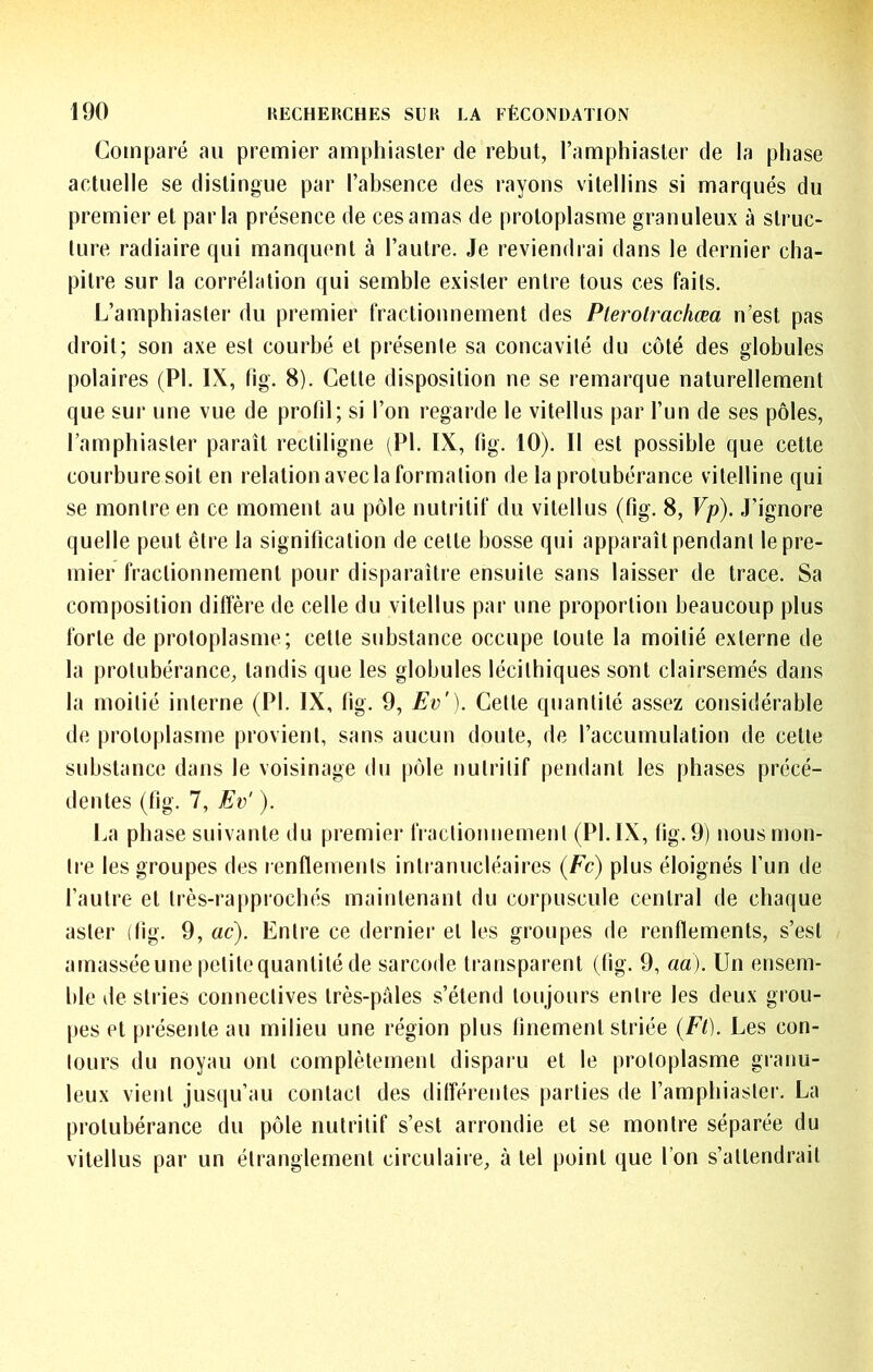 Comparé au premier amphiasler de rebut, l’amphiaster de la phase actuelle se distingue par l’absence des rayons vitellins si marqués du premier et parla présence de ces amas de protoplasme granuleux à struc- ture radiaire qui manquent à l’autre. Je reviendrai dans le dernier cha- pitre sur la corrélation qui semble exister entre tous ces faits. L’amphiaster du premier fractionnement des Plerolrachœa n’est pas droit; son axe est courbé et présente sa concavité du côté des globules polaires (PI. IX, fig. 8). Cette disposition ne se remarque naturellement que sur une vue de profil; si l’on regarde le vitellus par l’un de ses pôles, l’amphiaster paraît rectiligne (PI. IX, fig. 10). Il est possible que cette courbure soit en relation avec la formation de la protubérance vitelline qui se montre en ce moment au pôle nutritif du vitellus (fig. 8, Vp). J’ignore quelle peut être la signification de cette bosse qui apparaît pendant le pre- mier fractionnement pour disparaître ensuite sans laisser de trace. Sa composition diffère de celle du vitellus par une proportion beaucoup plus forte de protoplasme; cette substance occupe toute la moitié externe de la protubérance, tandis que les globules lécithiques sont clairsemés dans la moitié interne (PI. IX, fig. 9, Ev'). Cette quantité assez considérable de protoplasme provient, sans aucun doute, de l’accumulation de cette substance dans le voisinage du pôle nutritif pendant les phases précé- dentes (fig. 7, Ev' ). La phase suivante du premier fractionuemeut (PL IX, fig. 9) nous mon- tre les groupes des renflements intranucléaires {Fc) plus éloignés l’un de l’autre et très-rapprochés maintenant du corpuscule central de chaque aster (fig. 9, ac). Entre ce dernier et les groupes de renflements, s’est amasséeune petitequantitéde sarcode transparent (fig. 9, aa). Un ensem- ble de stries connectives très-pôles s’étend toujours entre les deux grou- pes et présente au milieu une région plus finement striée (Fl). Les con- tours du noyau ont complètement disparu et le protoplasme granu- leux vient jusqu’au contact des différentes parties de l’amphiaster. La protubérance du pôle nutritif s’est arrondie et se montre séparée du vitellus par un étranglement circulaire, à tel point que l’on s’attendrait