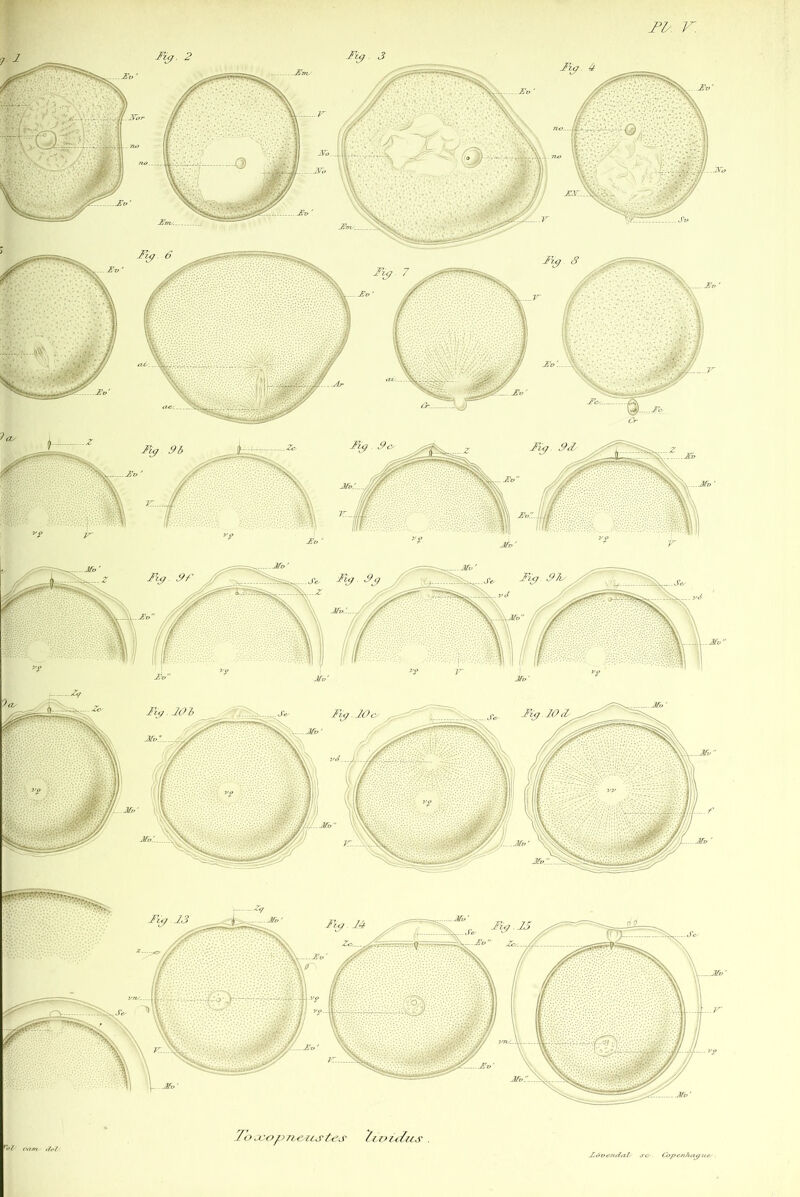 r. .7b a: O P 71 e.rcs /es 7? /> u Ù7S Copc^i/ttz^u Tzÿ. 3 u»<» fe3 .Shru .jSTo .U-o’