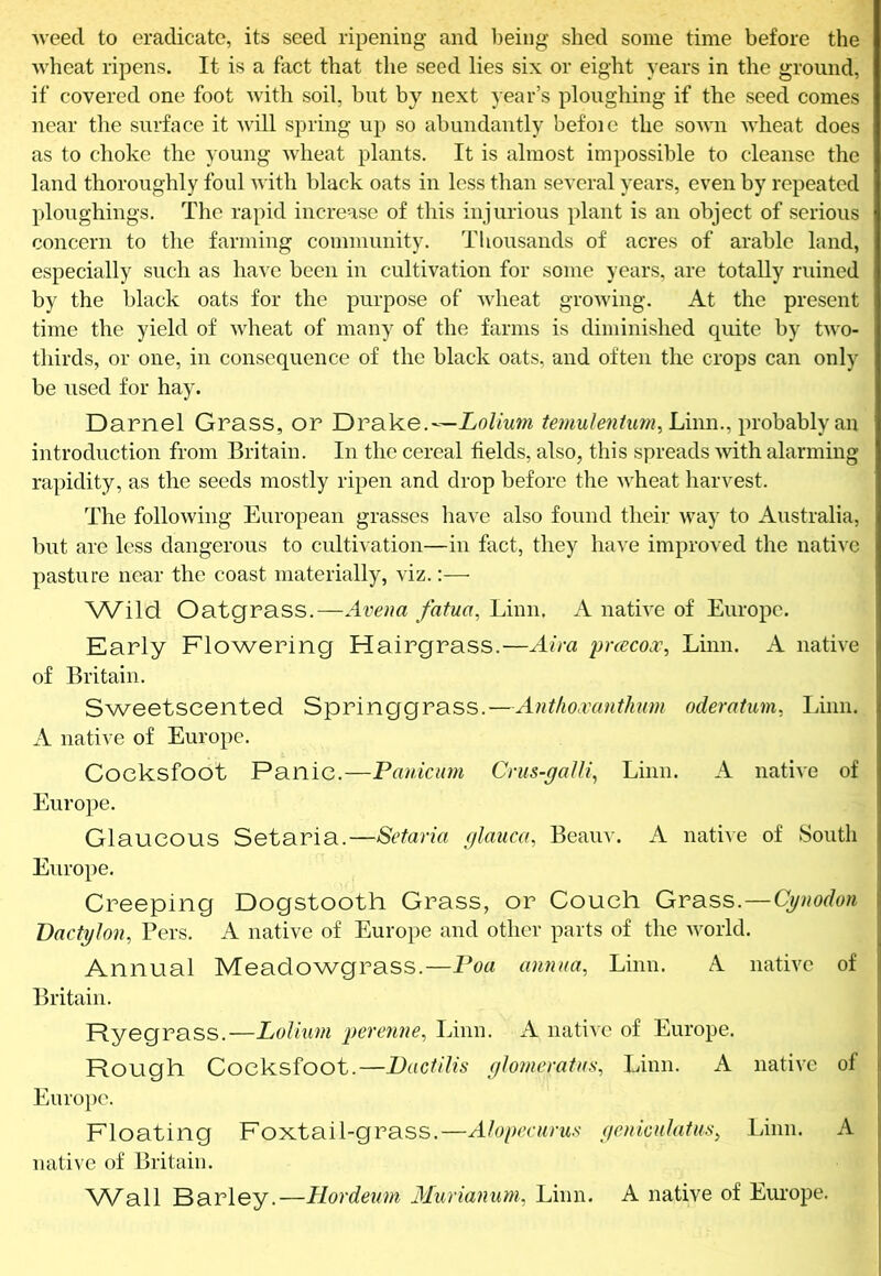 Aveed to eradicate, its seed ripening and l)eing shed some time before the wheat ripens. It is a fact that the seed lies six or eight years in the ground, if covered one foot with soil, hut by next year’s ploughing if the seed comes near the surface it Avill spring up so abundantly befoie the soAvn AA'heat does as to choke the young Avheat plants. It is almost impossible to cleanse the land thoroughly foul Avith black oats in less than several years, even by repeated ploughings. The rapid increase of this injurious plant is an object of serious concern to the farming community. Thousands of acres of arable land, especially such as have been in cultivation for some years, are totally ruined by the black oats for the purpose of AA^heat groAving. At the present time the yield of Avheat of many of the farms is diminished quite by tAvo- thirds, or one, in consequence of the black oats, and often the crops can only be used for hay. Darnel Grass, or Drake.—Linn., probably an introduction from Britain. In the cereal fields, also, this spreads Avith alarming rapidity, as the seeds mostly ripen and drop before the Avheat harvest. The folloAving European grasses have also found their Avay to Australia, but are less dangerous to cultivation—in fact, they have improved the native pasture near the coast materially, viz.:— Wild Oatgrass.—Avena fatua, Linn. A natke of Europe. Karly Flowering Hairgrass.—Aira pnecox, Linn. A native of Britain. Sweetseented Springgrass.—Antlioxanthum oderatum, Linn. A native of Europe. Cocksfoot Panic.—Panicum Cnis-gaUi^ Linn. A native of Europe. Glaucous Setaria.—Setaria glauca, Beauv. A nathe of South Europe. Creeping Dogstooth Grass, or Couch Grass.—Cynodon Dactylon, Pers. A native of Europe and other parts of the Avorld. Annual Meadowgrass.—Poa annna^ Linn. A nathe of j Britain. i Ryegrass.—Lolkm Linn. A native of Europe. : Rough Cocksfoot.—Dactilis ylomeratus, Linn. A natiA'e of |l Europe. Floating Foxtail-grass.—Alopecurus fienkulatus^ Linn. A ) native of Britain. ; V\Aall Barley.—Hordemn 3Iurianum, Linn. A native of Europe. |