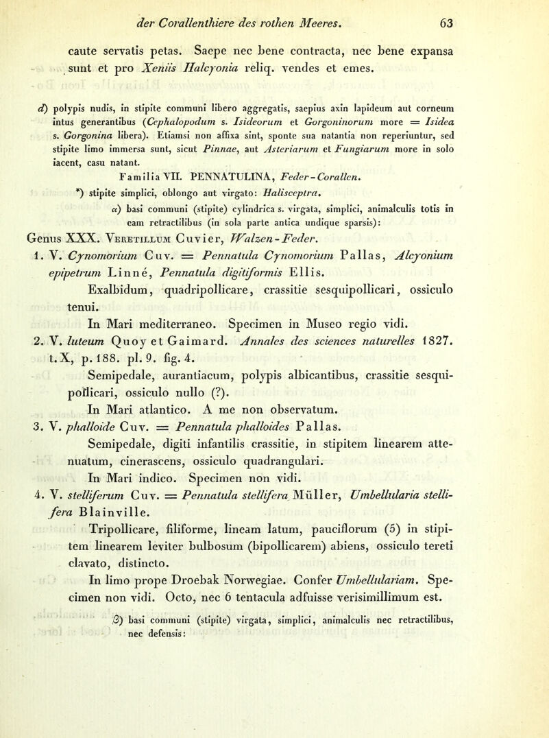 caute servatis petas. Saepe nec bene contracta, nec bene expansa sunt et pro Xeniis Ilalcyonia reliq. vendes et emes. d) polypls nudls, in stipite conimunl libero aggregatls, saepius axin lapideum aut corneuni intus generantibus {Cephalopodum s. Isideorum et Gorgoninorum more = Isidea s. Gorgonina libera). Etiamsi non affixa sint, sponte sua natantia non reperiuntur, sed stipite limo immersa sunt, sicut Pinnae^ aut Asleriarum et Fungiarum more in solo iacent, casu natant. FamiliaVII. PENNATULINA, Feder-Corallcn. *) stipite simplici, oblongo aut virgato: Halisceplra. ct) basi communi (stipite) cyllndrica s. virgata, simplici, animalculis totis in eam retractillbus (in sola parte antica undlque sparsis): Genus XXX. Veretillum Cuvier, Walzen-Feder. 1. V. Cynomoriurn Guv. = Pennatula Cynomorium Pallas, Alcjonium epipetrum Linne, Pennatula digitiformis Ellis. Exalbidum, quadripollicare, crassitie sesquipollicari, ossiculo tenui. In Mari mediterraneo. Specimen in Museo regio yidi. 2. V. luteum Quoy et Gaimard. Annales des Sciences naturelles 1827. t.X, p. 188. pl. 9. fig. 4. Semipedale, aurantiacum, poljpis albicantibus, crassitie sesqui- poflicari, ossiculo nullo (?). In Mari atlantico. A me non observatum. 3. V. phalloide Cuv. = Pennatula phalloides Pallas. Semipedale, digiti infantilis crassitie, in stipitem linearem atte- nuatum, cinerascens, ossiculo quadrangulari. In Mari indico. Specimen non vidi. 4. V. stelliferum Guv. = Pennatula stellifera lAüWeY, Uinbellularia stelli- fera Blainville. Tripollicare, filiforme, lineam latum, pauciflorum (5) in stipi- tem linearem leviter bulbosum (bipollicarem) abiens, ossiculo tereti clavato, distincto. In limo prope Droebak Norwegiae. Gonfer Umhellulariam. Spe- cimen non vidi. Octo, nec 6 tentacula adfuisse verisimillimum est. ß) basi communi (stipite) virgata, simplici, animalculis nec retractilibus, nec defensis: