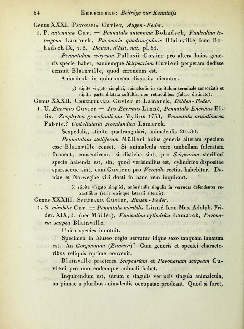 Genus XXXI. Pavona.ria Cuvier, Augen-Feder. 1. P. antennina Cuv. = Pennatula antennina Bohadsch, Funtculina te- tragona Lamarck, Pavonaria cjuadrangularis Blainville Icon Bo- hadscL IX, 4. 5. Diction. d'hist. nat. pl. 61. Pennatulam scirpeam Pallasii Cuvier pro altera huius gene- ris specie habet, eandemque Scirpeariam Guvieri perperam dedisse censuit Blainville, quod erroneum est. Animalcula in quincuncem disposita dicuntur. 7) stipite virgato simplici, animalculis in capitulum terminale consociatis et stipitis parte dilatata suffultis, non retractilibus (fulcro distincto): Genus XXXII. Ümbellularia Cuvier et Lamarck, Dolden-Feder. 1. U. Encrinus Cuvier = Isis Encrinus Linne, Pennatula Encrinus El- lis, Zoophyton groenlandicum Mylius 1753, Pennatula arundinacea Fabric.? Umhellularia groenlandica Lamarck. Sexpedalis, stipite quadrangulari, animalculis 20-30. Pennatulam stelliferam Müll er i huius generis alteram speciem esse Blainville censet. Si animalcula vere umbellam fulcratam forment, consentirem, si disticha sint, pro Scirpeariae steriliori specie habenda est, sin, quod verisimilius est, cylindrice dispositae sparsaeque sint, cum Cuviero pro Veretillo rectius babebitur. Da- niae et Norwegiae viri docti in banc rem inquirant. S) stipite virgato simplici, animalculis singulls In verrucas defendentes re- tractilibus (serle utrinque laterall alternls): Genus XXXIII. Scirpearia Cuvier, Binsen-Feder. 1. S. mirahilis Cuv. = Pennatula mirahilis Linne Icon Mus. Adolph. Fri- der. XIX, 4. (nec Müller), Funiculina cylindrica ludnaAvcky Pavona- ria scirpea Blainville. ünica species innotuit. Specimen in Museo regio servatur idque saxo tanquam innatum est. An Gorgoninum [Eunicea)? Cum generis et speciei characte- ribus reliquis optime convenit. Bl ainville praeterea Scirpeariam et Pavonariam scirpeam Cu- vieri pro uno eodemque animali habet. Inquirendum est, utrum e singulis verrucis singula animalcula, an pinnae a pluribus animalculis occupatae prodeant. Quod si foret.