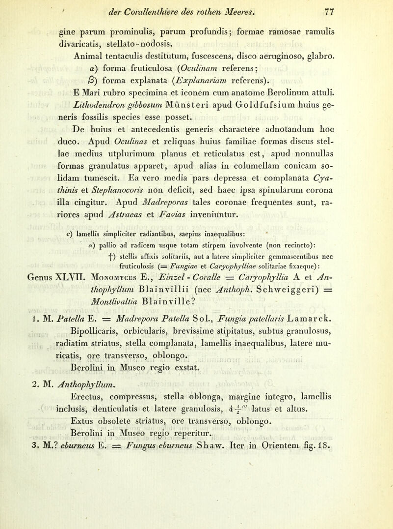 gine parum prominulis, parum profundis; formae ramosae ramulis divaricatis, stellato-nodosis. Animal tentaculis dcstitutum, fuscescens, disco aeriiginoso, glabro. a) forma fruliculosa {OcuUncmi referens; ß) forma explanata {Explanariam referens). E Mari rubro specimina et iconem cum anatome Berolinum attuli. Lithodendron gihbosum Münsteri apud Goldfufsium buius ge- neris fossilis species esse posset. De buius et antecedcntis generis cbaractere adnotandum hoc duco. Apud Oculinas et reliquas buius familiae formas discus stel- lae medius utplurimum planus et reticulatus est, apud nonnullas formas granulatus apparet, apud alias in columellam conicam so- lidam tumescit. Ea vero media pars depressa et complanata Cya- thinis et Slephanocoris non deficit, sed haec ipsa spinularum corona illa cingitur. Apud Madreporas tales coronae frequentes sunt, ra- riores apud Astraeas et Favias inveniuntur. c) lamellis simpliciter radiantibus, saepius inaequalibus: ‘ «) pallio ad radicem usque totam stirpem involvente (non recincto): •{•) stellis affixis solitariis, aut a latere simpliciter gemmascentlbus nec fruticulosis (= Fungiae et Caryophylliae solltariae fixaeque): Genus XL VII. Monomtces E., Einzel - Cor alle — Caryopliyllia A et An- thophyllum Blainvillii (nec Anthoph. Schweiggeri) = Montlivallia Blainville? 1. M. Patella E. = Madrepora Patella Sol., Fungia patellaris Lamarck. Bipollicaris, orbicularis, brevissime stipitatus, subtus granulosus, radiatim striatus, stella complanata, lamellis inaequalibus, latere rnu- ricatis, ore transverso, oblongo. Berolini in Museo regio exstat. 2. M. Anthophyllum. Erectus, compressus, stella oblonga, margine integro, lamellis inclusis, denticulatis et latere granulosis, latus et altus. Extus obsolete striatus, ore transverso, oblongo. Berolini in Museo regio reperitur. 3. M.,’1 eburneus = Fungus eburneus Sbaw. Iter in Orienten! fig. 18.