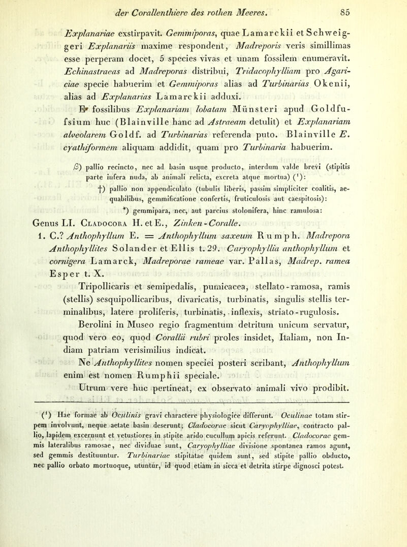 Explanariae exstirpavit. Gemmiporas^ qiiae Lamarckii et Schweig- geri Explanarüs maxime respondent, Madreporis veris simillimas esse perperam docet, 5 species vivas et unam fossilem eniimeravit. Echinastraeas ad Madreporas distribui, Tndacophjlliam pro j4gari~ ciae specie habuerim et Gemmiporas alias ad Turhinarias Okenii, alias ad Explanarias Lamarckii adduxi. fossilibus Explanariarn lohalam Münsteri apud Goldfu- fsium huc (Blainville hanc ad Aslraeam detulit) et Explanariarn alveolarem Goldf. ad Turhinarias referenda puto. Blainville E. cyathiforineni aliquam addidit, quam pro Turbinaria habuerim. yS) palllo recincto, nec ad basln usque producto, interdum valde brevi (stipitls parte iiifera nuda, ab animall relicta, excreta atque mortua) ('): ■}■) pallio non appendlcidalo (tubidis llberis, passim simpliciter coalitis, ae- quabilibus, gemmificatione confertis, fruticulosis aut caespitosis): gemmipara, nec, aut parcius stolonifera, hinc ramulosa: Genus LI. Cladocora H. etE., Zinken-Coralle. 1. Anthophyllum E. = Anthopliylliini saxeum R u m p b. Madrepora AniliophjUiles Solander et Ellis t. 29. Carjophjllia aniliopliyllum et cornigera Lamarck, Madreporae rameae var. Pallas, Madrep. ramea Esper t. X. Tripollicaris et semipedalis, purnicacea, stellato-ramosa, ramis (stellis) sesquipollicaribus, divaricatis, turbinatis, singulis stellis ter- minalibus, latere proliferis, turbinatis,-inflexis, striato-rugulosis. Berolini in Museo regio fragmentum detritum unicum servatur, quod vero eo, quod Corallii ruhri proles insidet, Italiam, non In- diam patriam verisimilius indicat. Ne Aniliopliylliles nomen speciei posteri scribant, Aniliopliyllum enim est nomen Rumpbii speciale. Utrum vere huc pertineat, ex observato animali vivo prodibit. (') Hae formae ab OcUUnis gravi cbaractere pbysiologice differunt. Oculinae totam stir- pem involvunt, neque aetate basin deserunt; Cladocorae sicut Carfophylliae, contracto pal- lio, lapidem excernunt et vetustlores in stipite arido cucuHuip apicis referunt. Cladocorae gem- mis lateralibus ramosae, nec dividuae sunt, Caryophylliae divlsione spontanea ramos agunt, sed gemmis destituuntur. Turhinariae stipitatae quidem sunt, sed stipite palllo obducto, nec pallio orbato mortuoque, utuntur, id quod etiam in sicca et detrita stirpe dignosci potest.