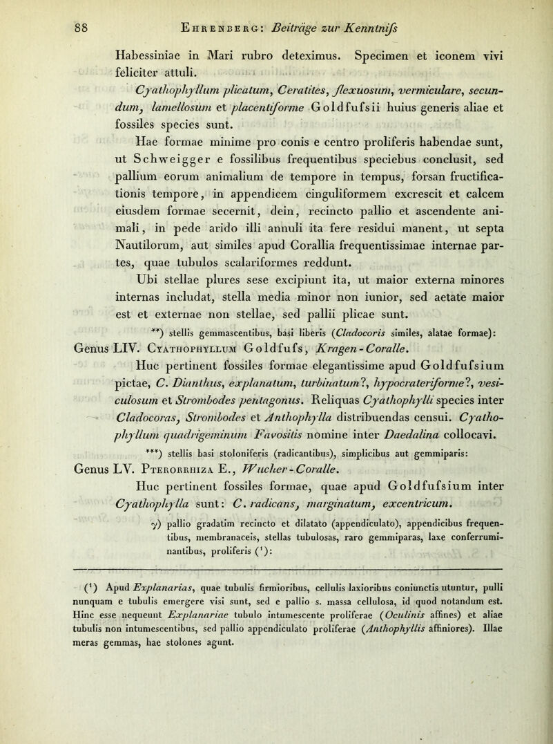 Habessiniae in Mari rubro cleteximus. Specimen et iconem vivi feliciter attuli. Cjathophjilum plicatum, Ceratiles, ßexuosum^ vermiculare^ secun- dunij lamellosum et placenüforme Goldfufsii huius generis aliae et fossiles species sunt. Hae formae minime pro conis e centro proliferis babenclae sunt, ut Schweigger e fossilibus frequentibus speciebus conclusit, sed pallium eorum animalium de tempore in tempus, forsan fructifica- tionis tempore, in appendicem cinguliformem excrescit et calcem eiusdem formae secernit, dein, recincto pallio et ascendente ani- mali, in pede arido illi annuli ita fere residui manent, ut septa Nautilorum, aut similes apud Corallia frequentissimae internae par- tes, quae tubulos scalariformes reddunt. Ubi stellae plures sese excipiunt ita, ut maior externa minores internas includat, stella rnedia minor non iunior, sed aetate maior est et externae non stellae, sed pallii plicae sunt. stellis gemmascentlbus, basi llberis (Cladocoris similes, alatae formae): Genus LIV. Ctathophyllum Goldfufs, Kragen-Coralle. Huc pertinent fossiles formae elegantissime apud Goldfufsium pictae, C. Dianlhus^ explanalum^ turhinatuml, liypocrateriforme'l^ vesi- culosum et Strombodes penlngonus. Reliquas Cjailiopliylli inter CladocoraSj Strombodes et Anthophylla distribuendas censui. Cyatlio- phyllum qiiadrigeminum Favositis nomine inter Daedalina collocavi. stellis basi stoloniferls (radicantlbus), simplicibus aut gemmiparls: Genus LV. Pterorrhiza E., Wucher-Coralle. Huc pertinent fossiles formae, quae apud Goldfufsium inter Cyathophylla sunt: C.radicans^ marginatumy excentricum. y) pallio gradatlm recincto et dllatato (appendiculato), appendicibus frequen- tibus, membranacels, stellas tubulosas, raro gemmiparas, lax^ conferruml- nantlbus, proliferis ('): (^) Apud Explanarias, quae tubulls firmlorlbus, cellulls laxlorlbus conlunctls utuntur, pulll nunquam e tubulls emergere visl sunt, sed e pallio s. massa cellulosa, Id quod notandum est. HInc esse nequeunt Eocplanariae tubulo intumescente proliferae (Oculinis affines) et aliae tubulls non Intumescenlibus, sed pallio appendiculato proliferae (^Anthophyllis affiniores). Illae meras geramas, hae stolones agunt.
