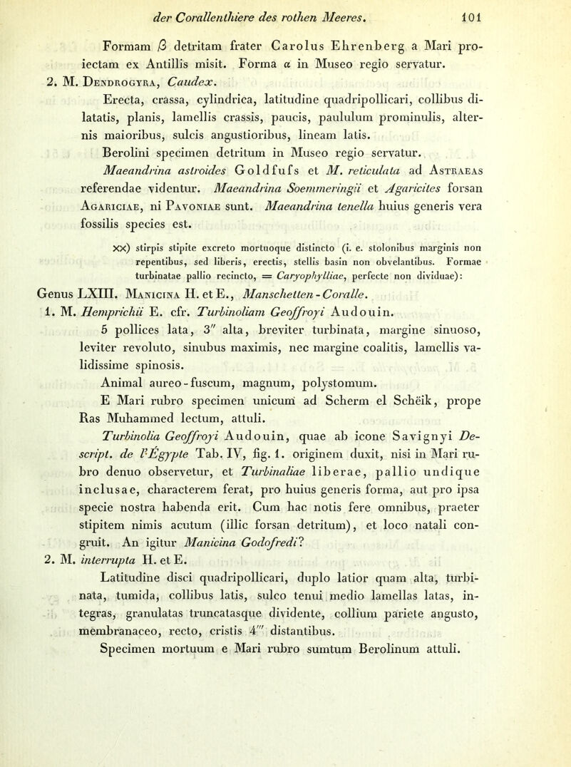 Formam Q> detritam frater Carolus Ehrenberg a Mari pro- iectam ex Antillis misit. Forma a in Museo regio servatur. 2. M. Dewdrogtra, Caiidex. Erecta, crassa, cjlindrica, latitudine quadripollicari, collibus di- latatis, planis, lamellis crassis, paucis, paululum prominulis, alter- nis maioribus, sulcis angustioribus, lineam latis. Berolini specimen detritum in Museo regio servatur. Maeandrina aslroides Goldfufs et M. reticulata ad Astraeas referendae videntur. Maeandrina Soemmeringii et Agaricites forsan Agarigiae, ni Pavoniae sunt. Maeandrina lenella huius generis vera fossilis species est. XX) stirpis stipite excreto mortuoque distincto (i. e. stolonibus marginls non repentibus, sed liberis, erectis, stellis basin non obvelantibus. Formae < turblnatae palllo recincto, = Caryophylliae^ perfecte non dividuae): Genus LXin. Manicina H. etE., Manschetten-Coralle. 1. M. Hemprichii E. cfr. Turhinoliam Geoffroji Audouin. 5 pollices lata, 3 alta, breviter turbinata, margine sinuoso, leviter revoluto, sinubus maximis, nec margine coalitis, lamellis va- lidissime spinosis. Animal aureo - fuscum, magnum, poljstomum. E Mari rubro specimen unicurai ad Scberm el Scbeik, prope Ras Mubammed lectum, attuli. Turhinolia Geoffroji Audouin, quae ab icone Savignyi De- script. de V'Egypte Tab. IV, fig. 1. originem duxit, nisi in Mari ru- bro denuo observetur, et Turbinaliae liberae, pallio undique inclusae, cbaracterem ferat, pro buius generis forma, aut pro ipsa specie nostra babenda erit. Cum bac notis fere omnibus, praeter stipitem nimis acutum (iilic forsan detritum), et loco natali con- gruit. An igitur Manicina Godofredil 2. M. interrupta H. etE. Latitudine disci quadripollicari, duplo latior quam alta, turbi- nata, tumida, collibus latis, sulco tenui medio lamellas latas, in- tegras, granulatas truncatasque dividente, collium pariete angusto, membranaceo, recto, cristis 4' distantibus. Specimen mortuum e Mari rubro sumtum Berolinum attuli.