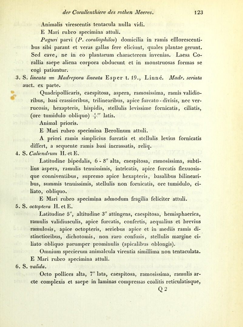 Animalis virescentis tentacula nulla vidi. E Mari rubro specimina attuli. Pagiiri parvi {P. coraliophdos) domicilia in ramis efflorescenti- bus sibi parant et veras gallas fere eliciunt, quales plantae gerunt. Sed cave, ne in eo plantarum characterem invenias. Laesa Go- rallia saepe aliena corpora obducimt et in monstruosas formas se cogi patiuntur. 3. S. lineala — Madrepora lineata Esper t. 19., Linne. Madr. seriata auct. ex parte. Quadripollicaris, caespitosa, aspera, ramosissima, ramis validio- ribus, basi crassioribus, trilinearibus, apice furcato - divisis, nec ver- rucosis, hexapteris, hispidis, stellulis levissime fornicatis, ciliatis, (ore tumidulo obliquo) -3-' latis. Animal prioris. E Mari rubro specimina Berolinum attuli. A priori ramis simplicius furcatis et stellulis levius fornicatis differt, a sequenle ramis basi incrassatis, reliq. 4. ?>. Caliendrwn H. etE. Latitudine bipedalis, 6 - 8 alta, caespitosa, ramosissima, subti- lius aspera, ramulis tenuissimis, intricatis, apice furcatis flexuosis- que conniventibus, supremo apice hexapteris, basalibus bilineari- bus, summis tenuissimis, stellulis non fornicatis, ore tumidulo, ci- liato, obliquo. E Mari rubro specimina admodum fragilia feliciter attuli. 5. S. octoptera H. etE. Latitudine 5, altitudine 3 attingens, caespitosa, hemisphaerica, ramulis validiusculis, apice furcatis, confertis, aequalius et brevius ramulosis, apice octopteris, seriebus apice et in mediis ramis di- stinctioribus, dichotomis, non raro confusis, stellulis margine ci- liato obliquo parumper prominulis (apicalibus oblongis). Omnium specierum animalcula virentia simillima non tentaculata. E Mari rubro specimina attuli. 6. S. 'valida. Octo pollices alta, T' lata, caespitosa, ramosissima, ramulis ar- cte complexis et saepe in laminas compressas coalitis reticulatisque, Q2