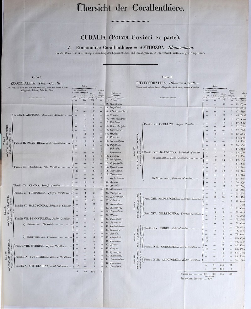 Ordo I. ZOOGORALLIA, Thier - Corallen. Ganz weiche, oder nur auf der Oberhaut, oder nur innen Festes ablagernde, lösbare, freie Corallen. Übersicht der Corallenthiere. /VWVWW\'VVl/VVWWVWWVWV'VI/% GURALIA (POLYPI Cuvieri ex parte). Einmündige Corallenthiere = ANTHOZOA, Blumenthü re. mit einer einzigen Mündung des Speisebehälters und strahligem, meist concentriscli vielkammrigei - k Körperbaue. Ordo IT. Allen PHYTOCOR ALLIA, Pflanzen - Corallen. Unten nach aiifscn Festes ahla?erndn. fesLsitzendr. unfreie Corallrn. Allen d(t rollito MttTfi. Fossile Gattungen 1 {Genera). I ue^rpiSrir. brolxcblclc. ■imtliebe. tungen. - { 2, Aeünia, Metridium, 1 1 - 3. Megalactis. I? - 1? — 4. Thalassianlhus. { Familia I. ACTININA, Anemonen-Corallen / 1 10 _ 6. Cribrina, — 1 3 - 6. Actinodendron, - 1 1 - 7. Epicladia. is H S — 1 - 8. Helerodactyla. ^ — — 3 — 9. Lucernaria. ' _ 2 3 — 10, Hughea. < • >-3 i 1 2 _ 11. Zoanlhus. 5 = 1 Familia n. ZOANTHINA, I^der-Corallen 1 1 1 4 - 12. Mammillifem, 1 \ — 2 3 — 13. Palylhoa, •S • gl — - — 1 I Siphonia. Lymnorea. £ a 1 1 3^ C s — 1 3 1 14. Fungia. ^ ^ - 1 5 - 15. Haliglossa. S1 - — 3 — 16. Polyphyllia. o -3 t: ^Familia HI, FUNGINA, Pilz-Corallen — - — I 17. CycloUlhas. g 1? - i? ji 18. Turhinalia, — - - ! 19. Trochopsis. - - - ! Diploctenium. - 3 3 — 20. Xenia. ^Familia rV. XENINA, Straufs-Corallen _ 3 3 -1 21. Anlhelia, ' - — 1 — 22. Jtiluzoxenia. Familia V. TUBIPORINA, Pfeifen-Corallen - 1 3 - 23. Tuhipora. jr < ■< 1 1 — 24. Halcyonium. c ^ 5 5 5 12 __ 25. Lohularia. H S Ö g H ^ - W fl 1 Familia VI. HALCYOWINA, Schwamm-Corallen 1 - 2 2 A - 26. Ammothea, ^ 9 '^Familia XI. OCELLINA, Augen~Corallen . 3 ^ ^ Familia XII. DAEDALINA, Lahyrinih-Corallen d) Astrabika, Stern-Corallcn ß) Mabakdrika, Furchen^Corallen. Familia Vn. PENNATULINA, Feder-Corallen. ct) Haliscepträj See •Stäbe o J :: 13 ^ ß) Halipteria, See •Federn | — Familia Vm. HYDRINA, Hyder-Corallen Familia IX. TUBULARINA, ilöA/’e«-Cora//en... ^ Familia X. SERTULARINA, JVedel-Corallen ... { 1? 28. Synipodium. 29. Cliona. Heretillum, Pavonaria. XJmhelhdaria. Scirpearia. 35. Virgidaria. 36. Pennatula. a I 3 ^ g § . H •' I d't- Farn. Xin. MADREPORINA, Maschen •Corallen Farn. XIV. MILLEPORINA, Ttehpen^Corallen Familia XV. ISIDEA, Edel-CoraVen 7 17 Hydra, Coryna, Syncoryna. Tuhularia. Eudendrium. Pennaria. Sertularia. Familia XVI. GORGONINA, Horx-Corallen . 5 9 ^ ö ^ 3 g i f Familia XVn. ALLOPORINA, i 31 ^ (ler-Corallen 235 J51 Fossile Gat* 7 7 14 7 12 1 4 2 2 21 20 6 7 10 1 4 3 2 3 10 23 4 12 11 Galti 1. (Ge, 44. Desm 45. Cyat. 46. Step}. 47. Mon^ 48. Ocul 49. Tun 50. Exp öl. Ciao 52. Colt. 53. Stroi 64. Cya 65. Ptet 56. Anh 67. Styl 58, Car 69. Fai 60. Ast! 61. Fav 62. Mat 63. Mm 64. Met 65. Pav 66. Ago 67. Pol^ 68. Mot 69. Hei 70. Mai 71. Caü Plei 72. Calt 73. Serit 74. Mill 75. Poci 76. Con 77. Mel 78. Mop, 79. Isis. 80. Pryi 81. Mur 82. Eun 83. Plea 84. Gor^ 86. Ptei\ 86. Allo} 27 8 rothen Meeres 120