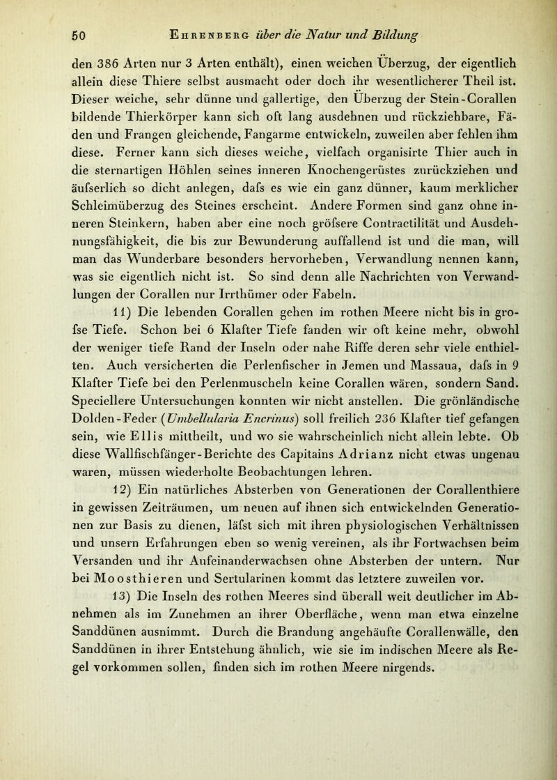 den 386 Arten nur 3 Arten enthält), einen weichen Überzug, der eigentlich allein diese Thiere selbst ausmacht oder doch ihr wesentlicherer Theil ist. Dieser weiche, sehr dünne und gallertige, den Überzug der Stein -Corallen bildende Thierkörper kann sich oft lang ausdehnen und rückziehbare, Fä- den und Frangen gleichende, Fangarme entwickeln, zuweilen aber fehlen ihm diese. Ferner kann sich dieses weiche, vielfach organisirte Thier auch in die sternartigen Höhlen seines inneren Knochengerüstes zurückziehen und äufserlich so dicht anlegen, dafs es wie ein ganz dünner, kaum merklicher Schleimüberzug des Steines erscheint. Andere Formen sind ganz ohne in- neren Steinkern, haben aber eine noch gröfsere Contractilität und Ausdeh- nungsfähigkeit, die bis zur Bewunderung auffallend ist und die man, will man das Wunderbare besonders hervorheben, Verwandlung nennen kann, was sie eigentlich nicht ist. So sind denn alle Nachrichten von Verwand- lungen der Corallen nur Irrthümer oder Fabeln. 11) Die lebenden Corallen gehen im rothen Meere nicht bis in gro- fse Tiefe. Schon bei 6 Klafter Tiefe fanden wir oft keine mehr, obwohl der weniger tiefe Rand der Inseln oder nahe Riffe deren sehr viele enthiel- ten. Auch versicherten die. Perlenfischer in Jemen und Massaua, dafs in 9 Klafter Tiefe bei den Perlenmuscheln keine Corallen wären, sondern Sand. Speciellere Untersuchungen konnten wir nicht anstellen. Die grönländische Dolden-Feder (Umbellularia Encrinus) soll freilich 236 Klafter tief gefangen sein, wie Ellis mittheilt, und wo sie wahrscheinlich nicht allein lebte. Ob diese Wallfischfänger-Berichte des Capitains Adrianz nicht etwas ungenau waren, müssen wiederholte Beobachtungen lehren. 12) Ein natürliches Absterben von Generationen der Corallenthiere in gewissen Zeiträumen, um neuen auf ihnen sich entwickelnden Generatio- nen zur Basis zu dienen, läfst sich mit ihren physiologischen Verhältnissen und unsern Erfahrungen eben so wenig vereinen, als ihr Fortwachsen beim Versanden und ihr Aufeinanderwachsen ohne Absterhen der untern. Nur bei Moosthieren und Sertularinen kommt das letztere zuweilen vor. 13) Die Inseln des rothen Meeres sind überall weit deutlicher im Ab- nehmen als im Zunehmen an ihrer Oberfläche, wenn man etwa einzelne Sanddünen ausnimmt. Durch die Brandung angehäufte Corallenwälle, den Sanddünen in ihrer Entstehung ähnlich, wie sie im indischen Meere als Re- gel Vorkommen sollen, finden sich im rothen Meere nirgends.