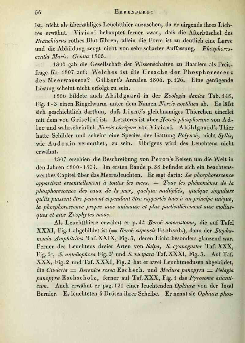 ist, nicht als überzähliges Leuchtthier anzusehen, da er nirgends ihres Lich- tes erwähnt. Viviani behauptet ferner zwar, dafs die Afterhüschel des Branchiiirus rothes Blut führen, allein die Form ist zu deutlich eine Larve und die Abbildung zeugt nicht von sehr scharfer Auffassung. Phosphores- centia Maitis. Genua 1805. 1806 gab die Gesellschaft der Wissenschaften zu Haarlem als Preis- frage für 1807 auf: Welches ist die Ursache der Phosphorescenz des Meerwassers? Gilbert’s Annalen 1806. p. 126. Eine genügende Lösung scheint nicht erfolgt zu sein. 1806 bildete auch Abildgaard in der Zoologia danica Tab. 148, Fig. 1-3 einen Ringelwurm unter dem Namen Nereis noctiluca ab. Es läfst sich geschichtlich darthun, dafs Linne’s gleichnamiges Thierchen einerlei mit dem von Griselini ist. Letzteres ist aber Nereis phosphorans von Ad- ler und wahrscheinlich Nereis cirrigera von Viviani. Abildgaard’s Thier hatte Schilder und scheint eine Species der Gattung Poljnoej nicht SjUisy wie Audouin vermuthet, zu sein. Übrigens wird des Leuchtens nicht erwähnt. 1807 erschien die Beschreibung von Peron’s Reisen um die Welt in den Jahren 1800-1804. Im ersten Bande p.38 befindet sich ein beachtens- werthes Capitel über das Meeresleuchten. Er sagt darin: La phosphorescence appartient essentiellement a toules les mers. — Tons les phenomenes de la phosphorescence des eaux de la merj quelque mulliplieSj quelque singuliers qu’ils puissent etre peuvent cependant etre rapportes tous a un principe uniqucj la phosphorescence propre aux aniniaux et plus particulierement aux mollus- ques et aux Zoophjtes mous. Als Leuchtthiere erwähnt er p. 44 Beroe macrostoma, die auf Tafel XXXI, Fig. 1 abgebildet ist (= Beroe capensis Eschsch.), dann der Stepha- nomia Amphitriles Taf. XXIX, Fig. 5, deren Licht besonders glänzend war. Ferner des Leuchtens dreier Arten von Salpa, S. cyanogaster Taf. XXX, Fig. 3“, S. anteliophora Fig. 3* und S. vivipara Taf. XXXI, Fig. 3. Auf Taf. XXX, Fig. 2 und Taf. XXXI, Fig. 2 hat er zwei Leuchtmedusen abgebildet, die Cuvieria = Berenice rosea Eschsch. und Medusa panopyra — Pelagia panopyra Eschscholz, ferner auf Taf.XXX, Fig. 1 das Pjrosoma atlanti- cum. Auch erwähnt er pag. 121 einer leuchtenden Ophiura von der Insel Bernier. Es leuchteten 5 Drüsen ihrer Scheibe. Er nennt sie Ophiura phos-