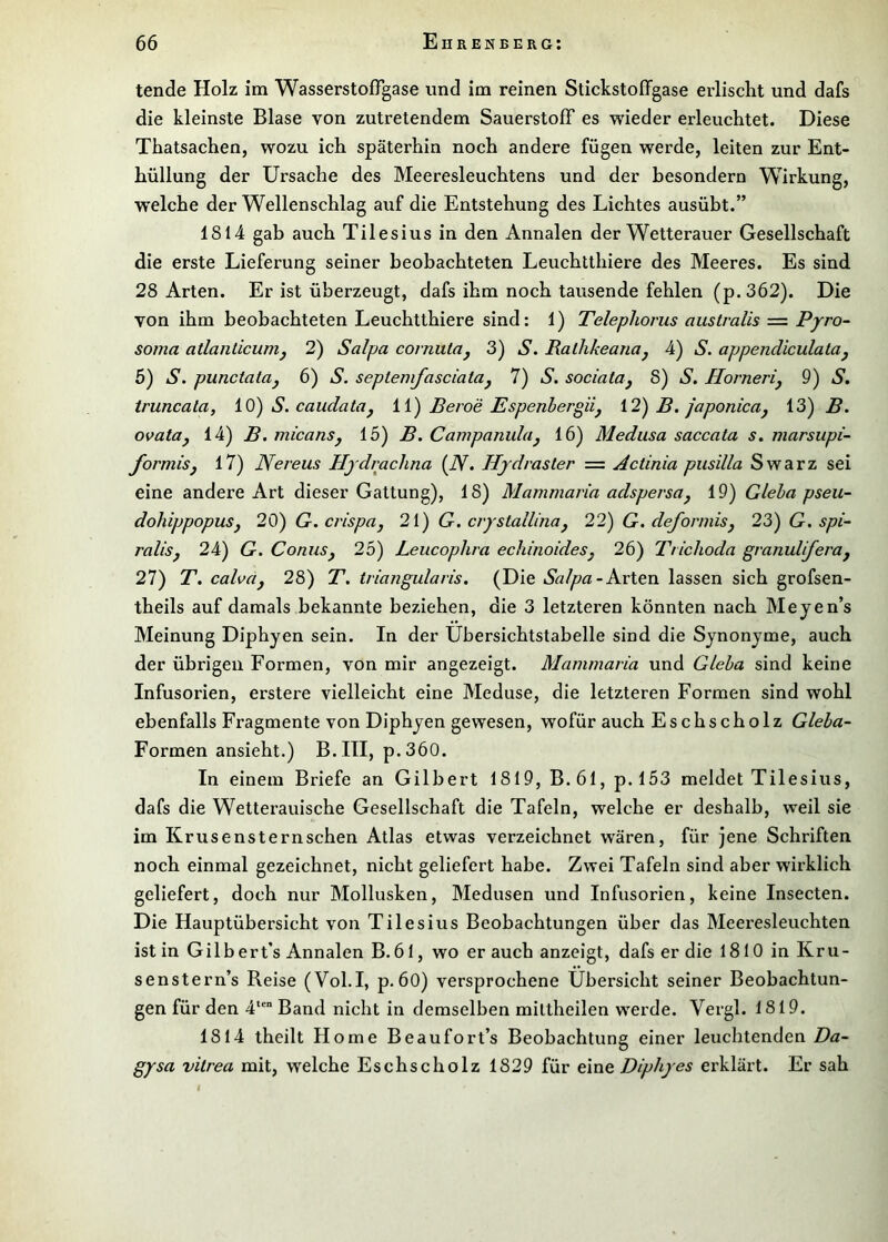 tende Holz im Wasserstoffgase und im reinen Stickstoffgase erlischt und dafs die kleinste Blase von zutretendem Sauerstoff es wieder erleuchtet. Diese Thatsachen, wozu ich späterhin noch andere fügen werde, leiten zur Ent- hüllung der Ursache des Meeresleuchtens und der besondern Wirkung, welche der Wellenschlag auf die Entstehung des Lichtes ausübt.” 1814 gab auch Tilesius in den Annalen der Wetterauer Gesellschaft die erste Lieferung seiner beobachteten Leuchtthiere des Meeres. Es sind 28 Arten. Er ist überzeugt, dafs ihm noch tausende fehlen (p.362). Die von ihm beobachteten Leuchtthiere sind: 1) Telephorus australis = Pyro- soma atlanticunij 2) Salpa cornulaj 3) S. Ralhkeana^ 4) S. appendiculataj 5) S. punctatüj 6) S. seplenifasciatay 7) S, sociatOj 8) S. Hornerij 9) S. truncata, iO) S. caudata^ ii) Beroe Espenbergiij \2) B. japonicaj 13) B. ovatttj 14) B. micanSj 15) B. Campanuluj 16) Medusa saccata s, marsupi- formiSj 17) Nereus Tlydrachna {N> liydrasler = Actinia pusilla Swarz sei eine andere Art dieser Gattung), 18) Mammaria adspersuj 19) Gieba pseu- dohippopuSj 20) G.crispUj 21) G. crystallinaj 22) G. deformisj 23) G. spi- raliSj 24) G. Conus, 25) Leucophra echinoides, 26) Triclioda granulifera, 27) T, calva, 28) T, triangularis, (Die Salpa-KxXexi lassen sich grofsen- theils auf damals bekannte beziehen, die 3 letzteren könnten nach Meyen’s Meinung Diphyen sein. In der Ubersichtstabelle sind die Synonyme, auch der übrigen Formen, von mir angezeigt. Mammaria und Gieba sind keine Infusorien, erstere vielleicht eine Meduse, die letzteren Formen sind wohl ebenfalls Fragmente von Diphyen gewesen, wofür auch Eschscholz Gieba- Formen ansieht.) B.III, p.360. In einem Briefe an Gilbert 1819, B. 61, p. 153 meldet Tilesius, dafs die Wetterauische Gesellschaft die Tafeln, welche er deshalb, weil sie im Krusensternschen Atlas etwas verzeichnet wären, für jene Schriften noch einmal gezeichnet, nicht geliefert habe. Zwei Tafeln sind aber wirklich geliefert, doch nur Mollusken, Medusen und Infusorien, keine Insecten. Die Hauptübersicht von Tilesius Beobachtungen über das Meei’esleuchten ist in Gilbert’s Annalen B.61, wo er auch anzeigt, dafs er die 1810 in Kru- senstern’s Reise (Vol.I, p.60) versprochene Übersicht seiner Beobachtun- gen für den 4*'“ Band nicht in demselben miltheilen werde. Vergl. 1819. 1814 theilt Home Beaufort’s Beobachtung einer leuchtenden Da- gysa vitrea mit, welche Eschscholz 1829 für eine Diphyes erklärt. Er sah