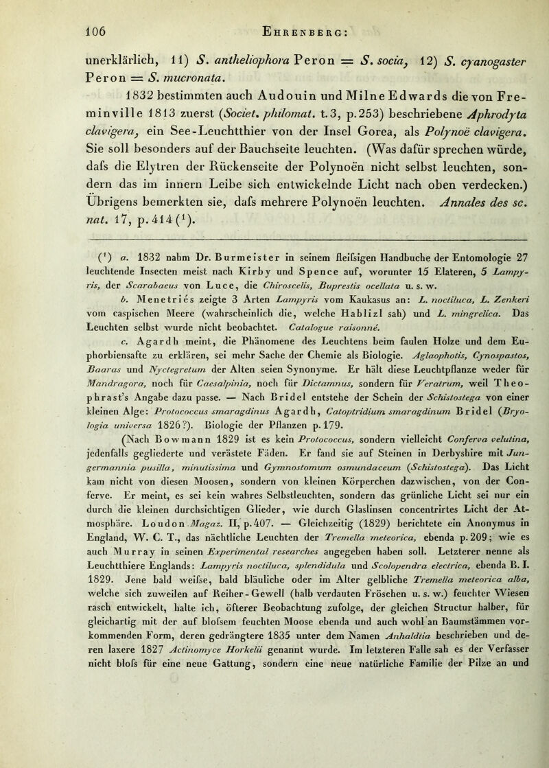 unerklärlich, 11) S. antheliophora Feron = S.socia^ 12) S. cpanogaster Peron = S. mucronata. 1832 bestimmten auch Audouin und Milne Edwards die von Fre- minville 1813 zuerst {Societ, philomat, t.3, p.253) beschriebene Aphrodyta clavigeraj ein See-Leuchtthier von der Insel Gorea, als Poljnoe clavigera» Sie soll besonders auf der Bauchseite leuchten. (Was dafür sprechen würde, dafs die Eljtren der Rückenseite der Poljnoen nicht selbst leuchten, son- dern das im innern Leibe sich entwickelnde Licht nach oben verdecken.) übrigens bemerkten sie, dafs mehrere Polynoen leuchten. Annales des sc. nat. l7, p. 414 (^). (^) a. 1832 nahm Dr. Burmeister in seinem fleifsigen Handbuche der Entomologie 27 leuchtende Insecten meist nach Kirby und Spence auf, worunter 15 Elateren, 5 Lampy- ris, der Scarabaeus von Luce, die Chiroscelis, Suprestis ocellata u. s. w. b. Menetries zeigte 3 Arten Lampyris vom Kaukasus an: L. noctiluca, L. Zenkeri vom caspischen Meere (wahrscheinlich die, welche Hablizl sah) und L. mingrelica. Das Leuchten selbst wurde nicht beobachtet. Catalogue raisonne. c. Agardh meint, die Phänomene des Leuchtens beim faulen Holze und dem Eu- phorbiensafte zu erklären, sei mehr Sache der Chemie als Biologie. Aglaophotis, Cynospastos, Baaras und Nyciegretum der Alten seien Synonyme. Er hält diese Leuchtpflanze weder fiir Mandragora, noch für Caesalpinia, noch £ü.t Dictamnus, sondern für Veratrum, weil Theo- phrast’s Angabe dazu passe. — Nach Bridel entstehe der Schein Schistostega von einer kleinen Alge: Protococcus smaragdinus Agardh, Catoptridium smaragdinum Bridel (JSryo- logia universa 1826?). Biologie der Pflanzen p. 179. (Nach Bowmann 1829 ist es kein-Pro/fococci/j, sondern vielleicht Conferva velutina, jedenfalls gegliederte und verästele Fäden. Er fand sie auf Steinen In Derbyshire mit Jun- germannia pusilla, minutissima und Gymnostomum osmundaceum (Schistostegc^. Das Licht kam nicht von diesen Moosen, sondern von kleinen Körperchen dazwischen, von der Con- ferve. Er meint, es sei kein wahres Selbstleuchten, sondern das grünliche Licht sei nur ein durch die kleinen durchsichtigen Glieder, wie durch Glaslinsen concentrirtes Licht der At- mosphäre. luonAon-Magaz. II, p.407. — Gleichzeitig (1829) berichtete ein Anonymus in England, W. C. T., das nächtliche Leuchten der Tremella meteorica, ebenda p. 209; wie es auch Murray in scXnen Experimental researches angegeben haben soll. Letzterer nenne als Leuchtthlere Englands: Lampyris noctiluca, splendidula und Scolopendra electrica, ebenda B. I. 1829. Jene bald weifse, bald bläuliche oder im Alter gelbliche Tremella meteorica alba, welche sich zuweilen auf Reiher-Gewell (halb verdauten Fröschen u. s. w.) feuchter Wiesen rasch entwickelt, halte ich, öfterer Beobachtung zufolge, der gleichen Structur halber, für gleichartig mit der auf blofsem feuchten Moose ebenda und auch wohl an Baumstämmen vor- kommenden Form, deren gedrängtere 1835 unter dem Namen Anhaldtia beschrieben und de- ren laxere 1827 Actinomyce Horkelii genannt wurde. Im letzteren Falle sah es der Verfasser nicht blofs für eine neue Gattung, sondern eine neue natürliche Familie der Pilze an und