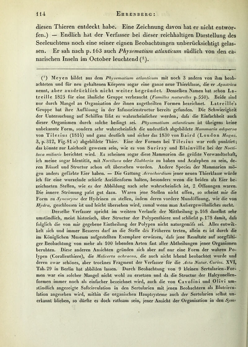 diesen Thieren entdeckt habe. Eine Zeichnung davon hat er nicht entwor- fen.) — Endlich hat der Verfasser bei dieser reichhaltigen Darstellung des Seeleuchtens noch eine seiner eignen Beobachtungen unberücksichtigt gelas- sen. Er sah nach p. 163 auch Phjsematium atlanticum südlich von den ca- narischen Inseln im October leuchtend (^). (') Meyen bildet aus dem Phjsematium atlanticum mit noch 3 andern von ihm beob- achteten und für neu gehaltenen Körpern sogar eine ganze neue Thierklasse, die er Agastrica nennt, aber ausdrücklich nicht weiter begründet. Denselben Namen hat schon La- treille 1825 für eine ähnliche Gruppe verbraucht (Familles naturelles p.550). Beide sind nur durch Mangel an Organisation der ihnen zugetheilten Formen bezeichnet. Latreille’s Gruppe hat ihre Auflösung in der Infusorienstructur bereits gefunden. Die Schwierigkeit der Untersuchung auf Schiffen läfst es wahrscheinlicher werden, dafs die Fdnfachheit auch dieser Organismen durch solche bedingt sei. Phjsematium atlanticum ist übrigens keine unbekannte Form, sondern sehr wahrscheinlich die undeutlich ahgebildete Mammaria adspersa von Tilesius (1814) und ganz deutlich und sicher das 1830 vonBaird (London Magaz. 3, p.312, Fig.81 a) abgebildete Thier. Eine der Formen bei Tilesius war roth punktirt; das könnte zur Laichzeit gewesen sein, wie es von Suriray und Blainville bei Aer Nocti- luca miliaris berichtet wird. Es scheinen sogar diese Mammarien die gröfste Verwandtschaft, ich meine sogar Identität, mit Noctiluca oder Slabberia zu haben und Acalephen zu sein, de- ren Rüssel und Structur schon oft übersehen worden. Andere Species der Mammarien mö- gen anders gefärbte Eier haben. — Die Gattung Acrochordium Jener neuen Thierklasse würde ich für eine wurzelnde schiefe Ascldienform halten, besonders wenn die beiden als Eier be- zelchneten Stellen, wie es der Abbildung nach sehr wahrscheinlich ist, 2 Öffnungen waren. Die Innere Strömung pafst gut dazu. Waren jene Stellen nicht offen, so scheint mir die Form zu Sjncorjne der Hydrlnen zu stellen, indem deren vordere Mundöffnung, wie die von Hjdra, geschlossen ist und leicht übersehen wird, zumal wenn man Aufsergewöhnliches sucht. Derselbe Verfasser spricht im weitern Verlaufe der Mittheilung p. 168 daselbst sehr umständlich, meist historisch, über Structur der Polypenthlere und schliefst p. 178 damit, dafs folglich die von mir gegebene Einthellung der Polypen nicht naturgemäfs sei. Alles entwik- kelt sich und immer Besseres darf an die Stelle des Früheren treten, allein es ist durch die im Königlichen Museum aufgestellten Exemplare erwiesen, dafs jene Resultate auf sorgrälti- ger Beobachtung von mehr als 100 lebenden Arten fast aller Abtheilungen jener Organismen beruhten. Diese anderen Ansichten gründen sich aber auf nur eine Form der wahren Po- lypen (Corallenthlere), die Melicerta ochracea, die auch nicht lebend beobachtet wurde und deren zwar schönes, aber trocknes Fragment der Verfasser für die Acta Natur. Curios. XVI, Tab. 29 ln Berlin hat abbilden lassen. Durch Beobachtung von 9 kleinen Sertularien-For- , men war ein solcher Mangel nicht wohl zu ersetzen und da die Structur der Halcyonellen- formen immer noch als einfacher bezeichnet wird, auch die von Cavolini und Olivi um- ständlich angezeigte Saftclrculation ln den Sertularien mit jenen Beobachtern als Blutcircu- lation angesehen wird, mithin die organischen Ilauptsysteme auch der Sertularien selbst un- erkannt blieben, so dürfte es doch rathsam sein, jener Ansicht der Organisation in den Sjm-