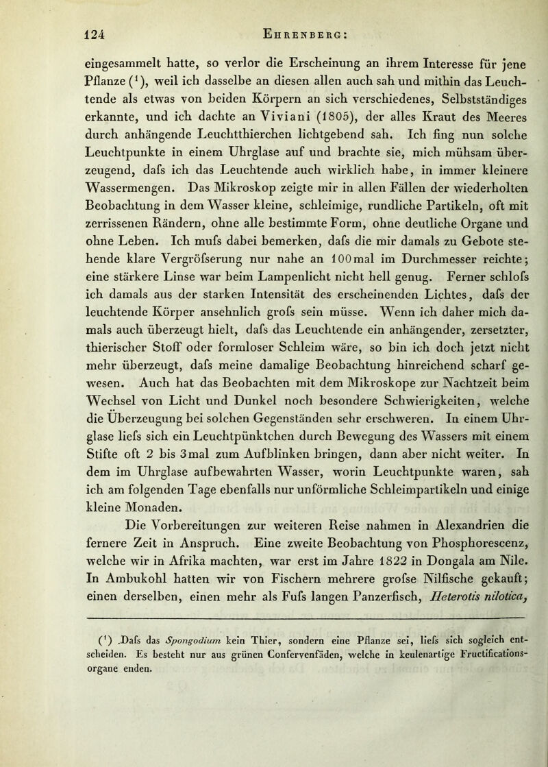 eingesammelt hatte, so verlor die Erscheinung an ihrem Interesse für jene Pflanze (^), weil ich dasselbe an diesen allen auch sah und mithin das Leuch- tende als etwas von beiden Körpern an sich verschiedenes, Selbstständiges erkannte, und ich dachte an Viviani (1805), der alles Kraut des Meeres durch anhängende Leuchtthierchen lichtgebend sah. Ich fing nun solche Leuchtpunkte in einem Uhrglase auf und brachte sie, mich mühsam über- zeugend, dafs ich das Leuchtende auch wirklich habe, in immer kleinere Wassermengen. Das Mikroskop zeigte mir in allen Fällen der wiederholten Beobachtung in dem Wasser kleine, schleimige, rundliche Partikeln, oft mit zerrissenen Rändern, ohne alle bestimmte Form, ohne deutliche Organe und ohne Leben. Ich mufs dabei bemerken, dafs die mir damals zu Gebote ste- hende klare Vergröfserung nur nahe an 100mal im Durchmesser reichte; eine stärkere Linse war beim Lampenlicht nicht hell genug. Ferner schlofs ich damals aus der starken Intensität des erscheinenden Lichtes, dafs der leuchtende Körper ansehnlich grofs sein müsse. Wenn ich daher mich da- mals auch überzeugt hielt, dafs das Leuchtende ein anhängender, zersetzter, thierischer Stoff oder formloser Schleim wäre, so hin ich doch jetzt nicht mehr überzeugt, dafs meine damalige Beobachtung hinreichend scharf ge- wesen. Auch hat das Beobachten mit dem Mikroskope zur Nachtzeit beim Wechsel von Licht und Dunkel noch besondere Schwierigkeiten, welche die Überzeugung bei solchen Gegenständen sehr erschweren. In einem Uhr- glase liefs sich ein Leuchtpünktchen durch Bewegung des Wassers mit einem Stifte oft 2 bis 3mal zum Aufblinken bringen, dann aber nicht weiter. In dem im Uhrglase aufbewahrten Wasser, worin Leuchtpunkte waren, sah ich am folgenden Tage ebenfalls nur unförmliche Schleimpartikeln und einige kleine Monaden. Die Vorbereitungen zur weiteren Reise nahmen in Alexandrien die fernere Zeit in Anspruch. Eine zweite Beobachtung von Phosphorescenz, welche wir in Afrika machten, war erst im Jahre 1822 in Dongala am Nile. In Ambukohl hatten wir von Fischern mehrere grofse Nilfische gekauft; einen derselben, einen mehr als Fufs langen Panzerfisch, Helerotis niloticttj (‘) ,Dafs das Spongodium kein Thier, sondern eine Pflanze sei, liefs sich sogleich ent- scheiden. Es besteht nur aus grünen Confervenfäden, welche in keulenartige Fructlfications- organe enden.