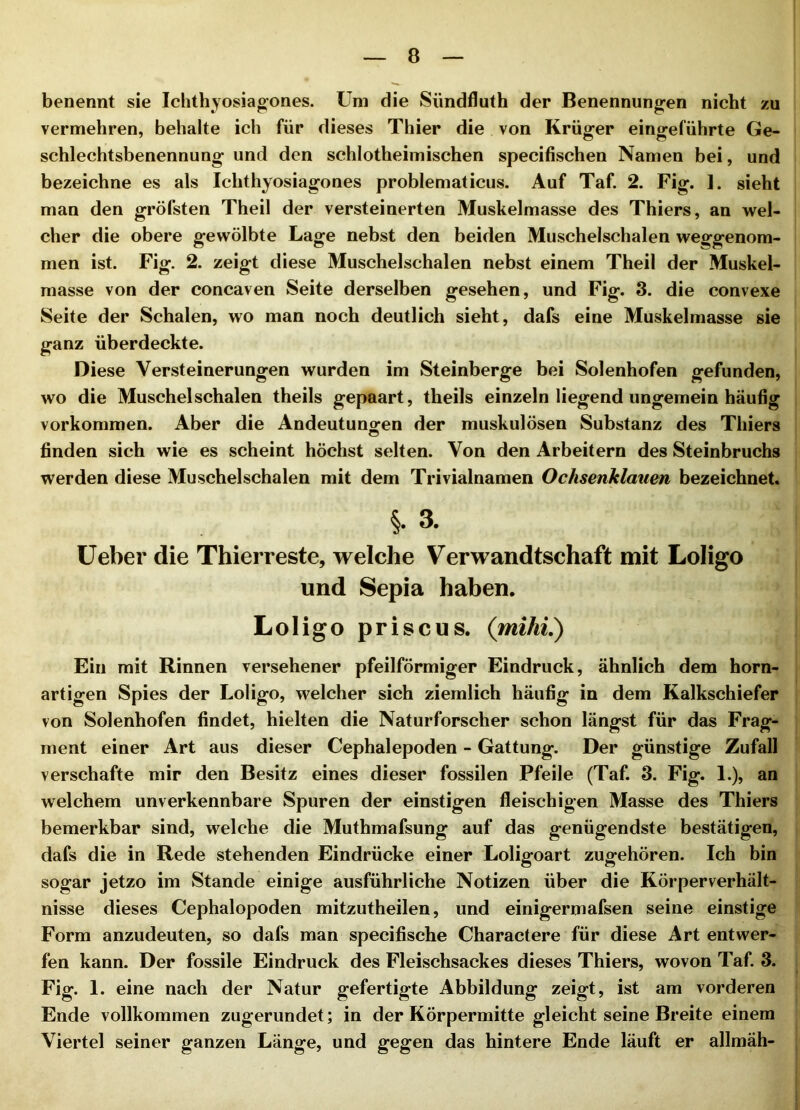 benennt sie Ichthyosiaoones. Um die Sündfluth der Benennungen nicht zu vermehren, behalte ich für dieses Thier die von Krüger eingeführte Ge- schlechtsbenennung und den schlotheimischen specifischen Namen bei, und bezeichne es als Ichthyosiagones problematicus. Auf Taf. 2. Fig. 1. sieht man den gröfsten Theil der versteinerten Muskelmasse des Thiers, an wel- cher die obere gewölbte Lage nebst den beiden Muschelschalen weggenom- men ist. Fig. 2. zeigt diese Muschelschalen nebst einem Theil der Muskel- masse von der concaven Seite derselben gesehen, und Fig. 3. die convexe Seite der Schalen, wo man noch deutlich sieht, dafs eine Muskelmasse sie ganz überdeckte. Diese Versteinerungen wurden im Steinberge bei Solenhofen gefunden, wo die Muschelschalen theils gepaart, theils einzeln liegend ungemein häufig Vorkommen. Aber die Andeutuno^en der muskulösen Substanz des Thiers finden sich wie es scheint höchst selten. Von den Arbeitern des Steinbruchs werden diese Muschelschalen mit dem Trivialnamen Ochsenklauen bezeichnet. §. 3. Üeber die Thierreste, welche Verwandtschaft mit Loligo und Sepia haben. Loligo priscus. (mihi.) Ein mit Rinnen versehener pfeilförmiger Eindruck, ähnlich dem horn- artigen Spies der Loligo, welcher sich ziemlich häufig in dem Kalkschiefer von Solenhofen findet, hielten die Naturforscher schon längst für das Frag- ment einer Art aus dieser Cephalepoden - Gattung. Der günstige Zufall verschafte mir den Besitz eines dieser fossilen Pfeile (Taf. 3. Fig. 1.), an welchem unverkennbare Spuren der einstigen fleischigen Masse des Thiers bemerkbar sind, welche die Muthmafsung auf das genügendste bestätigen, dafs die in Rede stehenden Eindrücke einer Loligoart zugehören. Ich bin sogar jetzo im Stande einige ausführliche Notizen über die Körperverhält- nisse dieses Cephalopoden mitzutheilen, und einigermafsen seine einstige Form anzudeuten, so dafs man specifische Charactere für diese Art entwer- fen kann. Der fossile Eindruck des Fleischsackes dieses Thiers, wovon Taf. 3. Fig. 1. eine nach der Natur gefertigte Abbildung zeigt, ist am vorderen Ende vollkommen zugerundet; in der Körpermitte gleicht seine Breite einem Viertel seiner ganzen Länge, und gegen das hintere Ende läuft er allmäh-