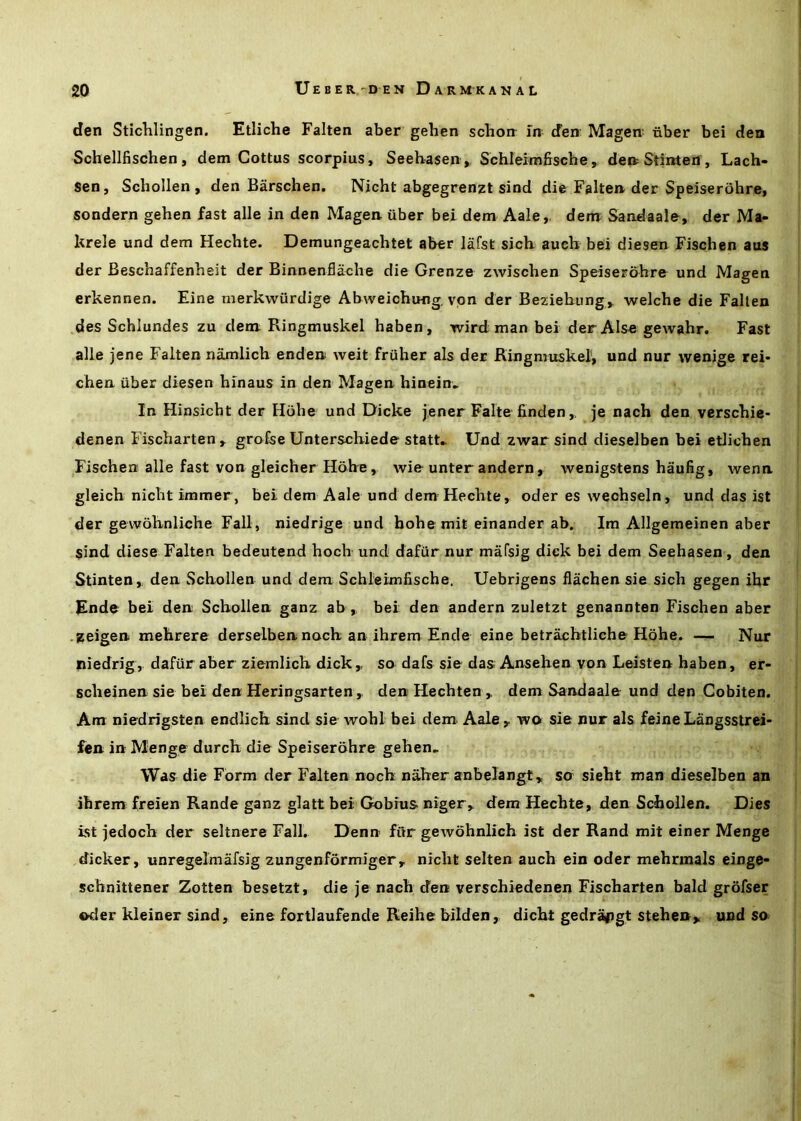den Stichlingen. Etiiche Fallen aber gehen schon- fn den: Magen- fiber bei den Schellfischen, dem Gottus scorpius, Seehasen , Schleimfische ^ den^Stintetf, Lach- sen, Schollen, den Barschen. Nicht abgegrenzt sind die Faltea der Speiserohre, sondern gehen fast alle in den Magen. uber bei dem Aale, denr Sandaale, der Ma- krele und dem Hechte. Demungeachtet aber liifst sich aucb bei diesen Fischen aus der Beschaffenheit der Binnenflache die Grenze zwischen Speiserohre und Magen erkennen. Eine merkwurdige Abweichtmg, von der Beziehiing> welche die Fallen des Schlundes zu dem Ringmuskel haben, wird man bei derAlse gewahr. Fast alle jene Fallen namlich enden weit fruher als der Ringmuskel', und nur wenige rei- chen. fiber diesen hinaus in den Magen hinein. In Hinsicht der Hohe und Dicke jener Falte findenje nach den vcrschie- denen Fischarten,. groEse Unterschiede statt- Und zwar sind dieselben bei etlichen Fischen alle fast von gleicher Hohe, wie unter andern, Avenigstens haufig, wenn gleich nicht immer, bei dem Aale und dem Hechte, oder es wechseln, und das ist der gewohnliche Fall, niedrige und hohe mit einander ab. Im Allgemeinen aber sind diese Fallen bedeutend hoch und dafiir nur mafsig dick bei dem Seehasen, den Stinten,. den Schollen und dem Schleknfische. Uebrigens flachen sie sich gegen ihr Ende bei den Schollen ganz ab , bei den andern zuletzt genannten Fischen aber • zeigen mehrere derselben nach an ihrem Ende eine betr^htliche Hohe. — Nur niedrig, dafiir aber ziemlich dick,, so dafs sie das Anseben von Leisten haben, er- scheinen sie bei den Heringsarten, den Hechten,. dem Sandaale und den Cobiten. Am niedrigsten endlich sind sie wohl bei dem Aale,. wo sie nur als feineLangsstrei- fen in Menge durch die Speiserohre gehen. Was die Form der Fallen noch naher anbelangt^ so sieht man dieselben an ihrem freien Rande ganz glatt bei Gobhis niger^ dem Hechte, den Schollen. Dies ist jedoch der seltnere Fall. Denn fitr geAvohnlich ist der Rand mit einer Menge dicker, unregelmafsig zungenformiger, nicht selten auch ein oder mehrmals einge- schnittener Zotten besetzt, die je nach den verschiedenen Fischarten bald grofser Oder kleiner sind, eine fortlaufende Reihe bilden, dicht gedrafigt stehen> und so>