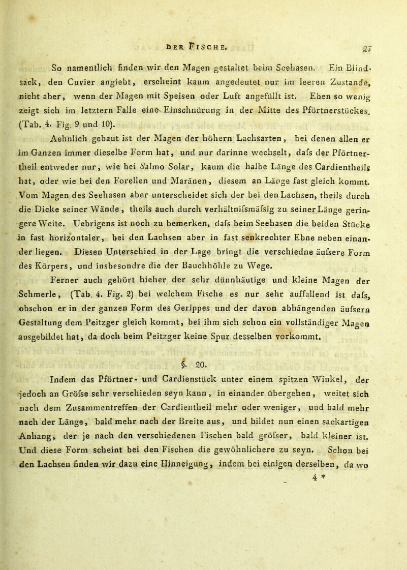 So namentlich finden wir den Magen gestaltet beim Seebasen. Ein Blind- sack, den Cuvier angiebt, erscheint kaum angedeutet nur im leeren Zustande, nicht aber, wenn der Magen mit Speisen oder Luft angefiillt ist. Eben so wenig zeigt sick im letztern Falle eine^ Einschniining in der Mitte des Pfortnerstuckes, (Tab. 4. Fig, 9 und 10). Aehnlich gebaut ist der Magen der hohern Lachsarten, bei denen alien er im Ganzen immer dieselbe Form hat, und nur darinne v/echselt, dafs der Pfortner- theil entweder nur, wie bei Salmo Solar, kaum die halbe Lange des Cardientlieils hat, oder wie bei den Forellen und Maranen, diesem an Lange fast gleich kommt. Vom Magen des Seebasen aber unterscheidet sich der bei denLachsen, theils durch die Dicke seiner Wande, theils auch durch verhaltnifsraafsig zu seiner Lange gerin- gereWeite. Uebrigens ist noch zu bemerken, dafs beim Seebasen die beiden Stucke in fast horizontaler, bei den Lachsen aber in fast senkrechter Ebne neben einan- der liegen. Diesen Unterschied in der Lage bringt die verschiedne aufsere Form des Korpers, und insbesondre die der Bauchholile zu Wege. Ferner auch gehort hieher der sehr diinnhautige und kleine Magen der Schmerle, (Tab, 4. Fig. 2) bei welchem Fische es nur sehr auffallend ist dafs, obschon er in der ganzen Form des Gerippes und der davon abhangenden aufsern Gestaltung dem Peitzger gleich kommt, bei ihm sich schon ein vollstandiger Magen ausgebildet hat, da doch beim Peitzger keine Spur desselben vorkommt. i 20. Indem das Pfortner- und Gardienstuck unter einem spitzen Winkel, der jedoch an Grofse sehr verschieden seyn kann, in einander ubergehen, weitet sich nach dem Zusammentreffen der Cardientheil mehr oderweniger, und bald mehr nach der Lange, bald mehr nach der Breite aus, und bildet nun einen sackartigen Anhang, der je nach den verschiedenen Fischen bald grofser, bald kleiner ist. Und diese Form scheint bei den Fischen die gewohniichere zu seyn. Schon bei den Lachsen finden wir dazu eine Hinneigung, indem bei einigen derselben, da wo 4 *