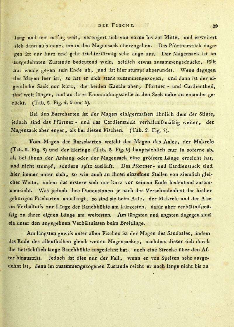 lang und nur mafsig weit, verengert sich von vorne bis zur Mitte, und erweifert sich dann aufs neue, um in den Magensack tiberzugehen. Das Pfortnerstiick dage- gen ist nur kurz nnd geht trichterformig sehr enge aus. Der Magensack ist im ausgedehnten Zustande bedeutend weit, seitlich etwas zusammengedruckt, fallt nur wenig gegen sein Ende ab, und ist bier stumpf abgerundet. Wenn dagegen der Magen leer ist, so hat er sich stark zusammengezogen, und dann ist der ei- gentliche Sack nur kurz, die beiden Kanale aber, Pfortner - und Cardientheil, Sind weit langer, und an ihrer Einmundungsstelle in den Sack nahe an einander ge- ruckt. (Tab, 2. Fig. 4. 5 und 6). Bei den Barscharten ist der Magen einigermafsen ahniich dem der S'tinte, jedoch sind das Pfortner - und das Cardienstiick verhaltnifsmafsig waiter, der Magensack aber enger, als bei diesen Fischen. (Tab. 2, Fig. 7). Vom Magen der Barscharten weicht der Magen des Aales, der Makrele (Tab. 2. Fig. 3) und der Heringe (Tab. 2* Fig. 9) hauptsachlich nur in soferne ab, als bei ihnen der Anhang oder der Magensack eine grofsere Lange erreicht hat, und .nicht stumpf, sondern spitz auslauft. Das Pfortner- und Cardienstiick sind hier immer unter sich, so wie auch an ihren einzeifnen Stellen von ziemlich glei- cher Weite, indem das erstere sich nur kurz vor seinem Ende bedeutend zusam- menzieht. Was jedoch ihre Dimensionen je nach der Verschiedenheit der hieher gehorigen Fischarten anbelangt, so sind sie beim Aale, der Makrele und der Alse im Verhaltnifs zur Lange der Bauchhbhle am kiirzesten, dafur aber verhaltnifsma- fsig zu ihrer eignen Lange am weitesten. Am langsten und engsten dagegen sind sie unter den angegebnen Verhaltnissen beim Breitlinge. Am langsten gewifs unter alien Fischen ist der Magen des Sandaales, indem das Ende des allenthalben gleich Aveiten Magensackes, nachdem dieser sich durch die betrachtlich lange Bauchhbhle ausgedehnt hat, noch eine Strecke iiber den Af- ter hinaustritt. Jedoch ist dies nur der Fall, Avenn er von Speisen sehr ausge- dehnt ist, denn im zusammengezogenen Zustande reicht er noch lange nicht bis zu