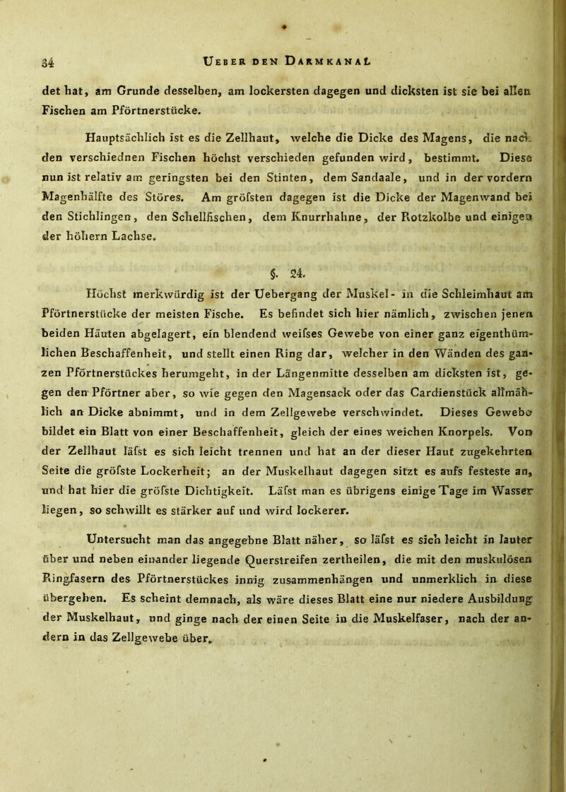 ♦ det hat, am Grunde desselben, am lockersten dagegen und dicksten ist sie bei alien Fischen am Pfortnerstiicke. Hauptsachlich ist es die Zellhaut, welche die Dicke des Magens, die nac^. den verschiednen Fischen hochst verschieden gefunden wird, bestimmt. Diese run ist relativ am geringsten bei den Stinten, dem Sandaale, und in der vordern Magenhalfte des Stores. Am grbfsten dagegen ist die Dicke der Magenwand bei den Stichlingen, den Schelliischen, dem Knurrhahne, der Pvotzkolbe und einigeo der hbhern Lachse. §. 24. Ilochst merkvviirdig ist der Uebergang der Muskel- in die Schleimhaut am Pfortnerstiicke der meisten Fische. Es befindet sich hier namlich, zwischen jenen beiden Hauten abgelagert, ein blendend vveifses Gewebe von einer ganz eigenthiim- Idchen Beschaffenheit, und stellt einen Ring dar, welcher in den Wanden des gaa- zen Pfortnerstuckes herumgeht, in der Langenmitte desselben am dicksten ist, ge- gen den Pfortner aber, so wie gegen den Magensack oder das Cardienstiick al'lmah- lich an Dicke abnimrot, und in dem Zellgewebe verschwindet. Dieses Gewebo bildet ein Blatt von einer Beschaffenheit, gleich der eines weichen Knorpels. Vora der Zellhaut lafst es sich leicht trennen und hat an der dieser Hauf zugekehrten Seite die grofste Lockerheit; an der Muskelhaut dagegen sitzt es aufs festeste an, und hat hier die groTste Dichtigkeit. Lafst man es ubrigens einige Tage im Wasser liegen, so schwillt es starker auf und wird lockerer. Untersucht man das angegebne Blatt naher, so lafst es sich leicht in lauter fiber und neben einander liegende Querstreifen zertheilen, die mit den muskulosen Piingfasern des Pfortnerstuckes innig zusammenhangen und unmerklich in diese fibergehen. Es scheint demnach, als ware dieses Blatt eine nur niedere Ausbildung der Muskelhaut, und ginge nach der einen Seite in die Muskelfaser, nach der an- dern in das Zellgewebe fiber.