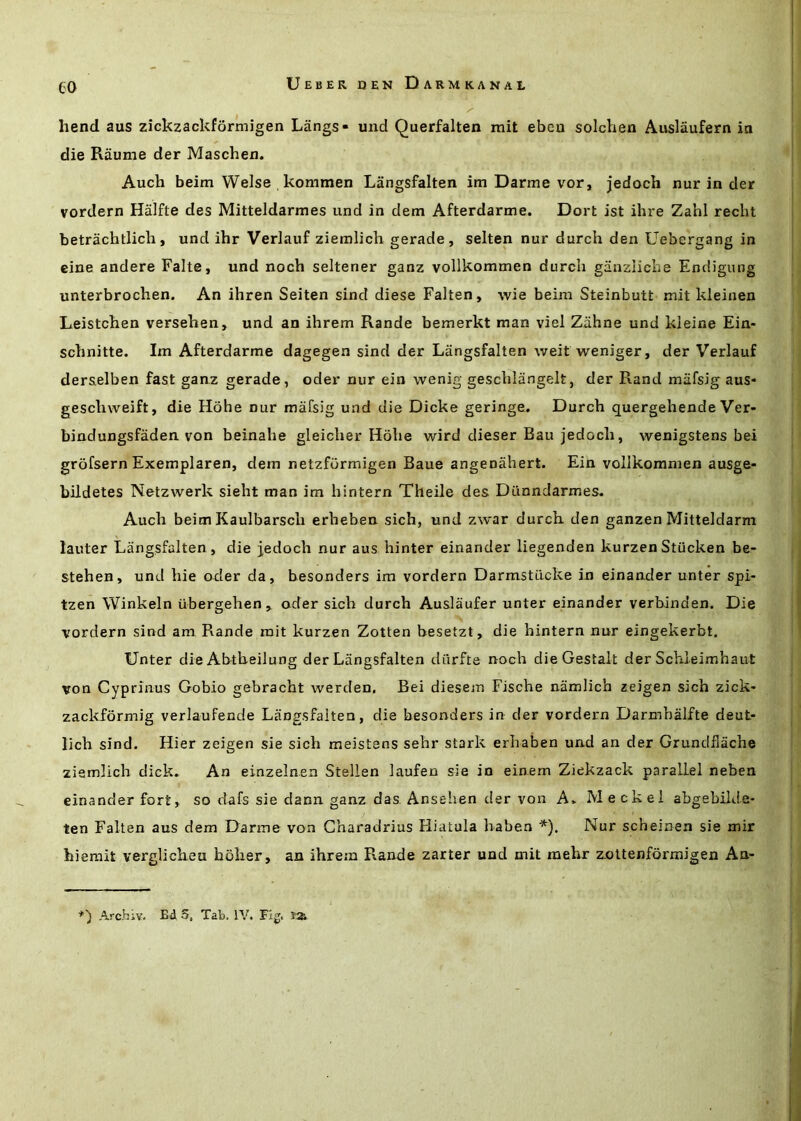 CO hend aus zickzackformigen Liings- und Querfalten mil eben solchen Auslaufern ia die Raume der Maschen. Auch beim Welse kommen Langsfalten itn Darme vor, jedoch nur in der vordern Hiilfte des Mitteldarmes und in dem Afterdarme. Dort ist ihre Zahl recht betrachtlich, und ihr Verlauf ziemlich gerade, selten nur durch den Uebergang in eine andere Falte, und noch seltener ganz vollkommen durch ganziiche Endigung unterbrochen. An ihren Seiten sind diese Falten, wie beim Steinbutt mit kleinen Leistchen versehen, und an ihrem Rande bemerkt man viel Ziihne und kleine Ein- schnitte. Im Afterdarme dagegen sind der Langsfalten weit weniger, der Verlauf der&elben fast ganz gerade, oder nur ein wenig geschlangelt, der Rand mafsig aus- gescliweift, die Hbhe nur mafsig und die Dicke geringe. Durch quergehende Ver- bindungsfaden von beinahe gleicher Hohe wird dieser Bau jedoch, wenigstens bei grofsern Exemplaren, dem netzfurmigen Baue angenahert. Ein vollkommen ausge- bUdetes Netzwerk sieht man im hintern Theile des Diinndarmes. Auch beim Kaulbarsch erheben sich, und zwar durch. den ganzen Mitteldarm lauter Langsfalten , die jedoch nur aus hinter einander liegenden kurzen Stucken be- stehen, und hie oder da, besonders im vordern Darmstdcke in einander unter spi- tzen Winkeln ubergehen , oder sich durch Auslaufer unter einander verbinden. Die vordern sind am Rande rait kurzen Zotten besetzt, die hintern nur eingekerbt, Unter die Abtheilung der Langsfalten diirfte noch die Gestalt der Schleimhaut von Cyprinus Gobio gebracht werden, Bei diesem Fische namlich zeigen sich zick- zackformig verlaufende Langsfalten, die besonders in der vordern Darmhalfte deut- lich sind. Hier zeigen sie sich meistsns sehr stark erhaben und an der Grundflache ziemlich dick. An einzelnen Stellen laufen sie in einem Ziekzack parallel neben einander fort, so dafs sie dann ganz das Ansehen der von A. Meckel abgebilde- ten Falten aus dem Darme von Gharadrius Hiatula haben *). Nur scheinen sie mir hierait verglicheu holier, an ihrem Rande zarter und mit raehr zoltenformigen An-