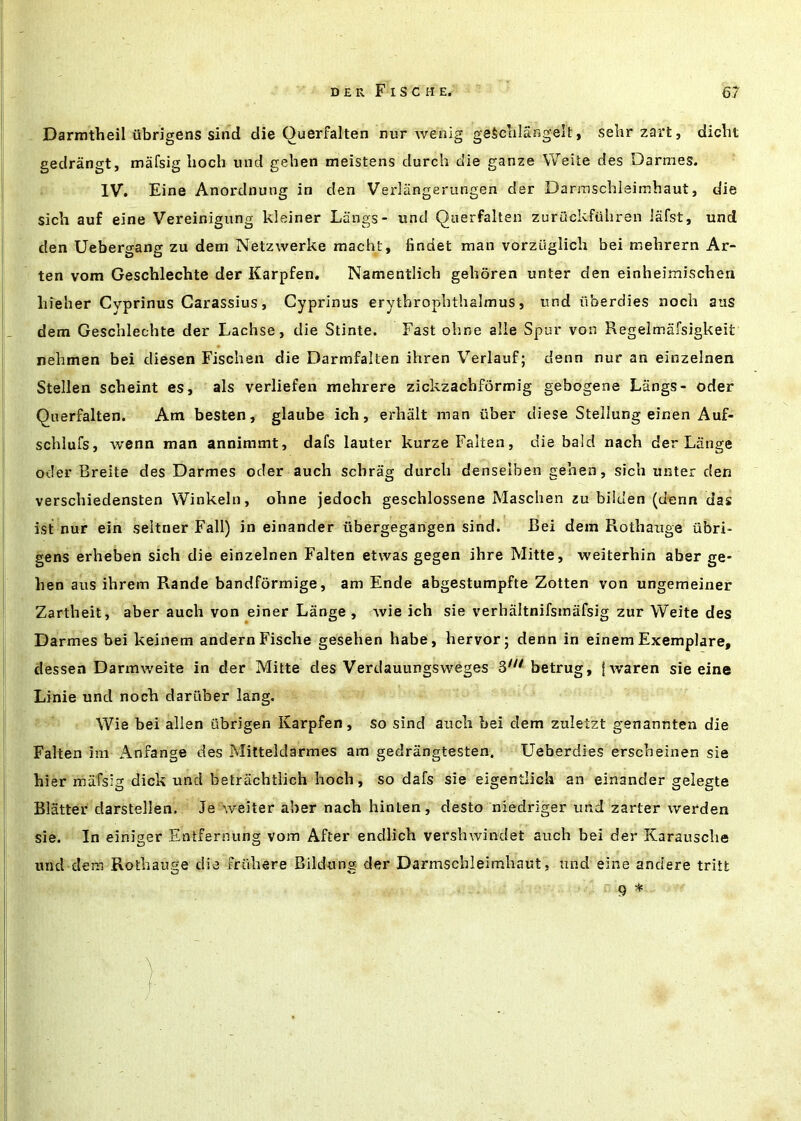 Darmtheil iibrigens sind die Querfalten nur wenig gaSclilangelt, selirzart, dicht gedrangt, mafsig lioch und gelien meistens durch die ganze Weite des Darmes. IV. Eine Anordnung in den Verlangerungen der Darmschleitnbaut, die sich auf eine Vereinigung kleiner Langs- iind Querfalten zuriickfuliren Jafst, und den Uebergang zu dem Netzwerke machl, findet man vorzuglicli bei mehrern Ar- ten vom Geschlechte der Karpfen, Namentlich gehoren unter den einheimischen bielier Cyprinus Carassius, Cyprinus erytbropbthalmus, und iiberdies noch aus dem Geschlechte der Lachse, die Stinte. Fast obne alle Spur von Regelmafsigkeit nebmen bei diesen Fiscben die Darmfalten ihren Verlauf; denn nur an einzelnen Stellen scbeint es, als verliefen mehrere zickzachformig gebogene Langs- oder Querfalten. Am besten, glaube ich, erbalt man iiber diese Stellung einen Auf- scblufs, wenn man annimmt, dafs lauter kurzeFalten, die bald nacb der Lange oder Breite des Darmes oder auch scbrag durch denselben gehen, sich unter den verschiedensten Winkeln, ohne jedoch geschlossene Maschen zu bilden (denn das ist nur ein seltner Fall) in einander tibergegangen sind. Bei dem Rothauge iibri- gens erheben sich die einzelnen Falten etwas gegen ihre Mitte, weiterhin aber ge- hen aus ihrem Rande bandfbrmige, am Ende abgestumpfte Zotten von ungemeiner Zartheit, aber auch von einer Lange, Avie ich sie verhaltnifsmafsig zur Weite des Darmes bei keinem andernFische gesehen habe, hervor; denn in einem Exemplare, dessen Darmweite in der Mitte des Verdauungsweges betrug, fwaren sie eine Linie und noch darliber lang. Wie bei alien ubrigen Karpfen, so sind auch bei dem zuletzt genannten die Falten im Anfange des Mitteldarmes am gedrangtesten. Ueberdies erscheinen sie hier mafsig dick und betrachtlich hoch, so dafs sie eigentlich an einander gelegte Blatter darstellen, Je weiter aber nach hinlen, desto niedriger und zarter werden sie. In einiger Entfernung vom After endlich vershwindet auch bei der Karausche und dem Rothauge die friihere Bildung der Darmschleimhaut, und eine andere tritt 9 *