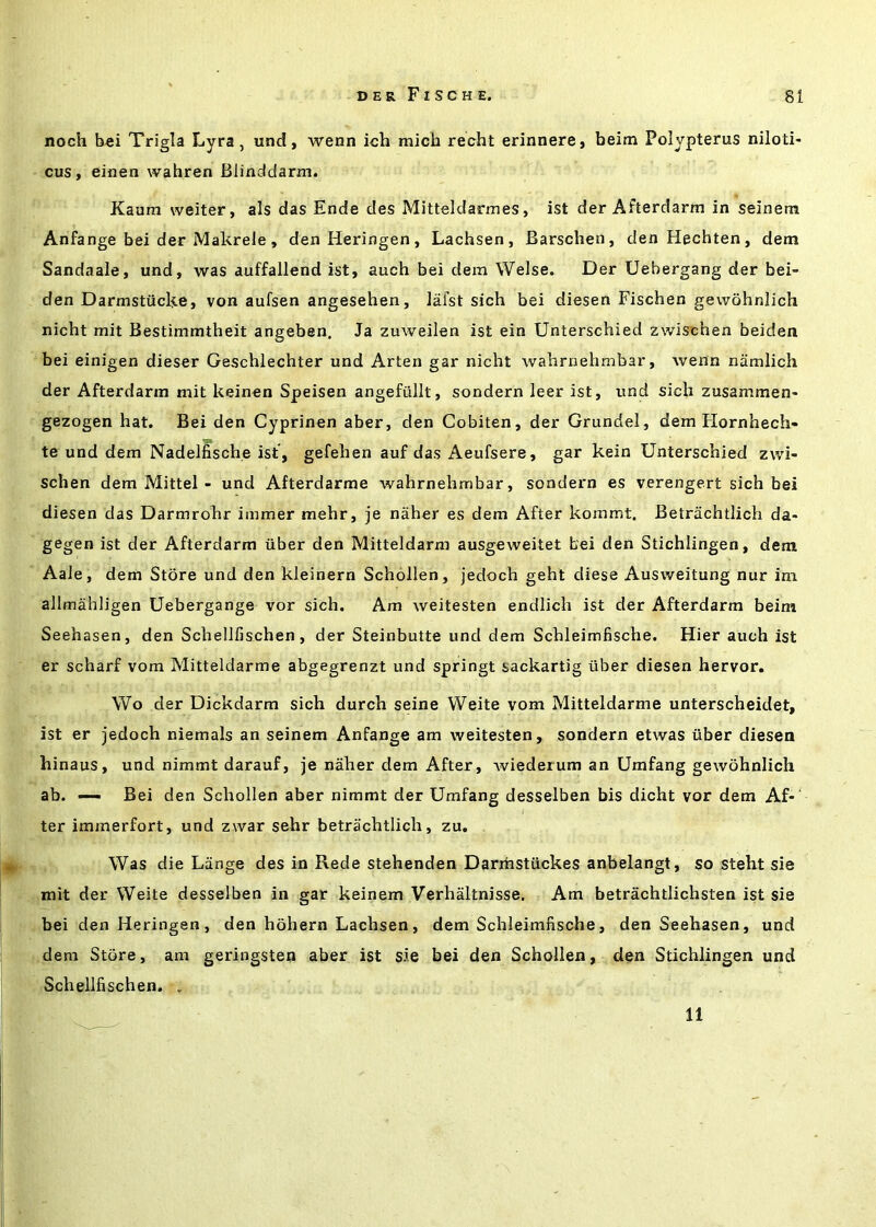 noch bei Trigla Lyra, und, wenn ich micb recht erinnere, beim Polypterus niloti- cus, einen wahren Blinddarm. Kaum welter, als das Ende des Mitteldarmes, 1st der Afterdarm in seinem Anfange bei der Makrele, denHeringen, Lachsen, Barschen, denHechten, dem Sandaale, und, was auffallend ist, auch bei dem Welse. Der Uebergang der bei- den DarmstiicEe, von aufsen angesehen, lalst sich bei diesen Fischen gewohnlich nicht mit Bestimmtheit angeben. Ja zuweilen ist ein Unterschied zwischen beiden bei einigen dieser Geschlechter und Arten gar nicht wahrnehmbar, wenn namlich der Afterdarm mit keinen Speisen angefiillt, sondern leer ist, und sich zusammen- gezogen hat. Bei den Cyprinen aber, den Cobiten, der Grundel, dem Hornhech- te und dem Nadelfische ist, gefehen auf das Aeufsere, gar kein Unterschied zwi- schen dem Mittel - und Afterdarme wahrnehmbar, sondern es verengert sich bei diesen das Darmrohr immer mehr, je naher es dem After kommt. Betriichtlich da- gegen ist der Afterdarm iiber den Mitteldarm ausgeweitet bei den Stichlingen, dem Aale, dem Store und den kleinern Schollen, jedoch geht diese Ausweitung nur im allmahligen Uebergange vor sich. Am weitesten endlich ist der Afterdarm beim Seehasen, den Schellfischen, der Steinbutte und dem Schleimfische. Hier auch ist er scharf vom Mitteldarme abgegrenzt und springt sackartig iiber diesen hervor. Wo der Dickdarm sich durch seine Weite vom Mitteldarme unterscheidet, ist er jedoch niemals an seinem Anfange am weitesten, sondern etwas iiber diesen hinaus, und nimmt darauf, je naher dem After, wiederum an Umfang gewohnlich ab. —- Bei den Schollen aber nimmt der Umfang desselben bis dicht vor dem Af- ter immerfort, und zwar sehr betrachtlich, zu. Was die Lange des in Rede stehenden Danbstiickes anbelangt, so steht sie mit der Weite desselben in gar keinem Verhaltnisse. Am betrachtlichsten ist sie bei den Heringen, den hohern Lachsen, dem Schleimfische, den Seehasen, und dem Store, am geringsten aber ist sie bei den Schollen, den Stichlingen und Schellfischen. . 11