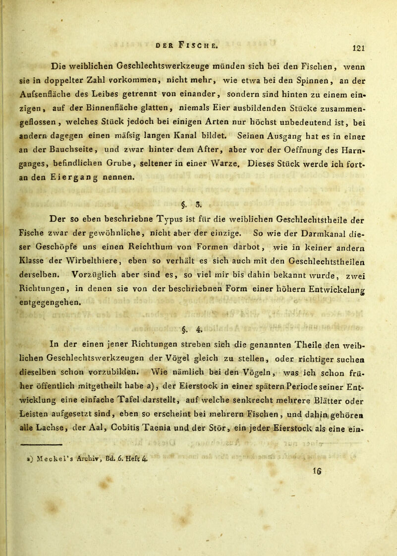 121 Die vveiblichen Geschlechtswerkzeuge mvinden sich bei den Fisclien, wenn sie in doppelter Zahl vorkommen, nicht mehr, wie etwa bei den Spinnen, an der Aufsenflache des Leibes getrennt von einander, sondern sind hinten zu einem ein- zigen, auf der Binnenfiache glatten, niemals Eier ausbildenden Stucke zusammen- geflossen , welches Stuck jedoch bei einigen Arten nur hochst unbedeutend ist, bei andern dagegen einen mafsig langen Kanal bildet. Seinen Ausgang hat es in einer an der Bauchseite, und zwar hinter dem After, aber vor der Oeffnung des Harn- ganges, befindlichen Grube, seltener in einer Warze, Dieses Stuck werde ich fort* an den Eiergang nennen. §. 3. Der so eben beschriebne Typus ist fiir die weiblichen Geschlechtstheile der Fische zwar der gewohnliche, nicht aber der einzige. So wie der Darmkanal die- ser Geschbpfe uns einen Reichthum von Formen darbot, wie in keiner andern Klasse der Wirbelthiere, eben so verhalt es sich auch mit den Geschlechtstheilen derselben. Vorztiglich aber sind es, so viel mir bis dahin bekannt wurde, zwei Ricbtungen, in denen sie von der beschriebnen Form einer hohern Entwickelung entgegengehen. §. 4. In der einen jener Ricbtungen streben sich die genannten Theile den weib- lichen Geschlechtswerkzeugen der Vogel gleich zu stellen, oder richtiger suchen dieselben schon vorzubilden, Wie niimlich bei den Vogeln, was ich schon frii- her offentlich mitgetheilt habe a), der Eierstock in einer spaternPeriodeseiner Ent- wicklung eine einfache Tafel darstellt, auf Avelche senkrecht mehrere Blatter oder Leisten aufgesetzt sind, eben so erscheint bei mehrern Fischen, und dajiin^gehoren alle Lachse, der Aal, Gobitis Taenia und der Stbr, ein jeder Eierstock als eine ein- a) Meckel’s Archiv, Bd. 6. Heft 4* 16