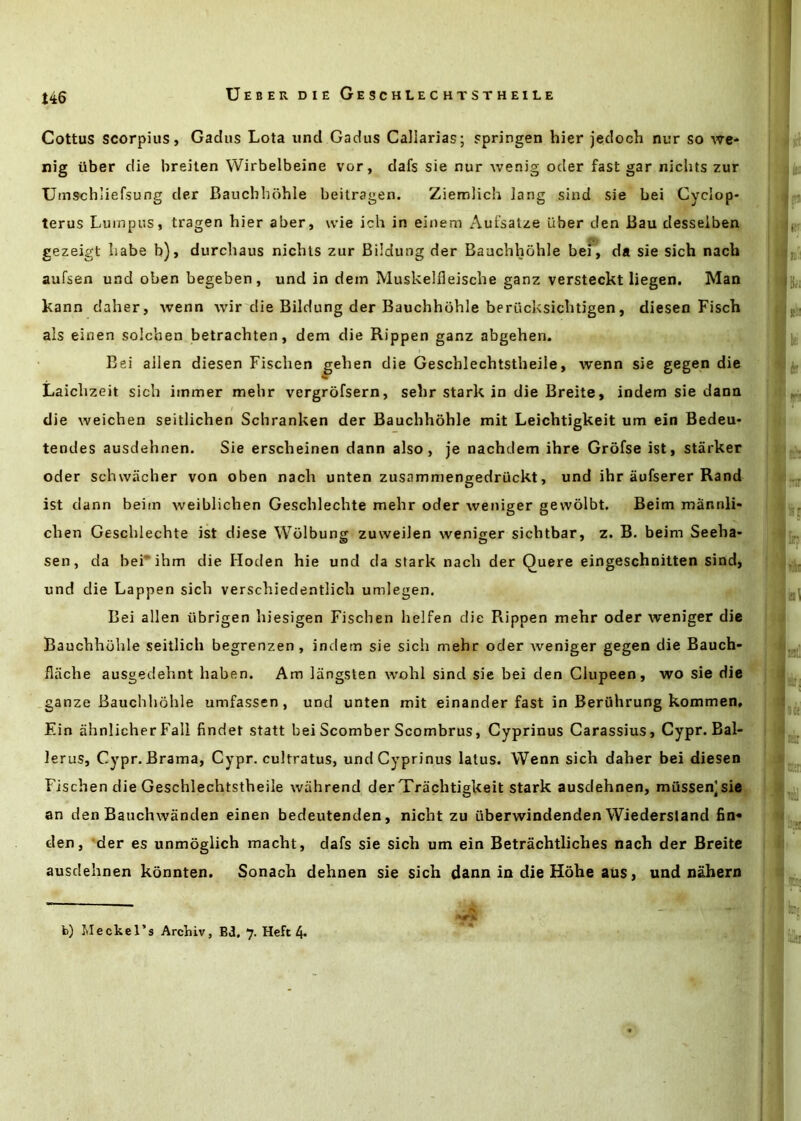 t46 Cottus scorpius, Gadus Lota und Gadus Callarias; fpringen hier Jedoch nur so we* nig liber die breilen Wirbelbeine vor, dafs sie nur wenig oder fast gar niclits zur Umschliefsung der Bauchhbhle beilragen. Ziemlich lang sind sie bei Cyclop- terus Luinpus, tragen hier aber, wie ich in einem Aufsatze liber den Bau desseiben gezeigt babe b), durchaus nidus zur Biidung der Bauchhohle bei, da sie sich nach aufsen und oben begeben, und in dem Muskelfleisdie ganz versteckt liegen. Man kann daher, wenn Avir die Bildung der Bauchhohle berud<sichtigen, diesen Fisch als einen soichen betrachten, dem die Rippen ganz abgehen. Bei alien diesen Fischen gehen die Geschlechtstheile, wenn sie gegen die Laichzeit sich immer mehr vergrofsern, sehr stark in die Breite, indem sie dann di e weichen seitlichen Schranken der Bauchhohle mit Leichtigkeit um ein Bedeu- tendes ausdehnen. Sie erscheinen dann also, je nachdem ihre Grofse ist, starker Oder schwiicher von oben nach unten zusammengedruckt, und ihr aufserer Rand ist dann beim weiblichen Geschlechte mehr oder weniger gewolbt. Beim mannli- chen Geschlechte ist diese Wolbung zuweilen weniger sichtbar, z. B. beim Seeha- sen, da bei*ihm die Hoden hie und da stark nach der Quere eingeschnitten sind, und die happen sich verschiedentlich umlegen, Bei alien tibrigen hiesigen Fischen helfen die Rippen mehr oder weniger die Bauchhohle seitlich begrenzen , indem sie sich mehr oder Aveniger gegen die Bauch- iliiche ausgedehnt haben. Am liingsten AA'ohl sind sie bei den Glupeen, wo sie die ganze Bauchhohle umfassen, und unten mit einander fast in Beruhrung kommen, F.in ahnlicher Fall findet statt bei Scomber Scombrus, Cyprinus Carassius, Cypr. Bal- lerus, Cypr. Brama, Cypr. cultratus, und Cyprinus latus. Wenn sich daher bei diesen Fischen die Geschlechtstheile Avahrend der Trachtigkeit stark ausdehnen, miissen^sie an den Bauchwanden einen bedeutenden, nicht zu iiberwindenden Wiederstand fin* den, der es unmoglich macht, dafs sie sich um ein Betrachtliches nach der Breite ausdehnen konnten. Sonach dehnen sie sich dann in die Hohe aus, und n^ero b) Meckel’s Archiv, Bd. 7. Heft 4- A.