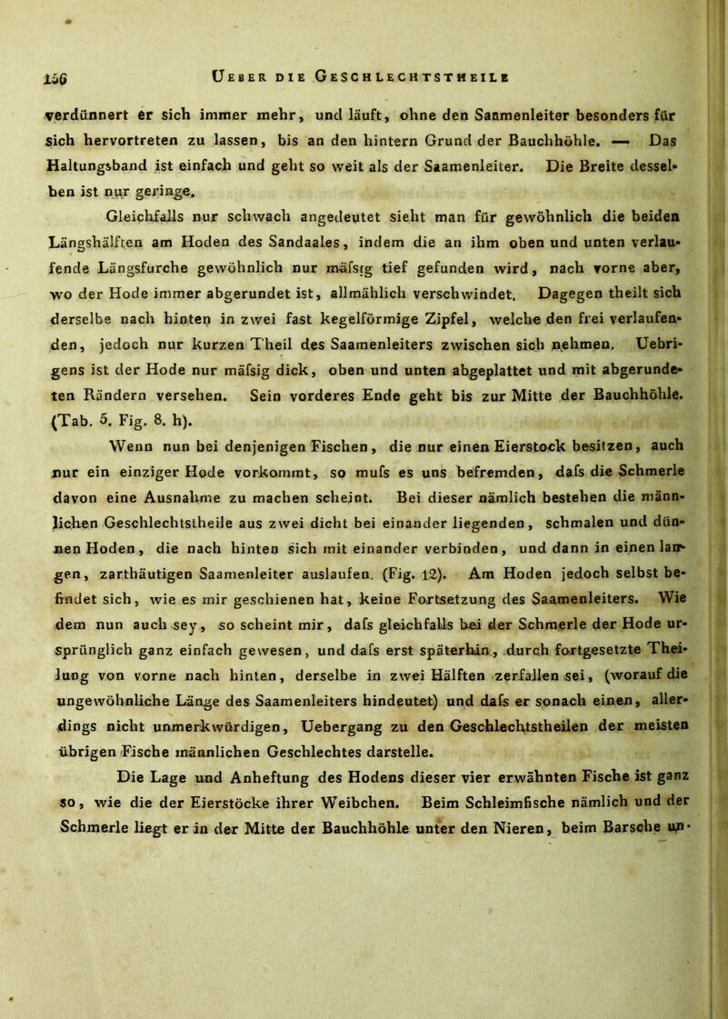 IHG verdiinnert er sich inimer mehr, und lauft, ohne den Saomenleiter besonders fiir sich hervortreten zu lassen, bis an den hintern Grund der Bauchhohle. —- Das Haltungsband ist einfach und geht so weit als der Saamenleiler. Die Breite dessel* ben ist our geringe, GleichfaJls nur scliwach angedeutet sieht man fur gewohnlich die beiden Langshalften am Hoden des Sandaales, indem die an ihm oben und unten verlau* fende Langsfurche gewohnlich nur nvafstg tief gefunden wird, nach Torne aber, wo der Hode inimer abgerundet ist, allraahlich verschwindet. Dagegen theilt sich derselbe nach hintep in zwei fast kegelfbrmige Zipfel, welcho den frei verlaufen* den, jedoch nur kurzen Theil des Saamenleiters zwischen sich nehmen. Uebri- gens ist der Hode nur mafsig dick, oben und unten abgeplattet und mit abgerunde- ten Randern versehen. Sein vorderes Ende geht bis zur Mitte der Bauchhohle. (Tab. 5. Fig. 8. h). Wenn nun bei denjenigen Fischen, die nur einen Eierstock besifzen, auch nur ein einziger Hode vorkommt, so mufs es uns befremden, dafs die Schmerle davon eine Ausnahme zu machen scheint. Bei dieser namlich bestehen die mann- lichen Geschlechtslheile aus zwei dicht bei einander liegenden, schmalen und dim- nen Hoden , die nach hinten sich init einander verbinden, und dann in einen Ian*- gen, zarthautigen Saanienleiter auslaufen. (Fig. 12). Am Hoden jedoch selbst be- Irndet sich, wie es mir geschienen hat, keine Fortsetzung des Saamenleiters. Wie dem nun auch sey, so scheint mir, dafs gleichfalls bed der Schmerle der Hode ur- sprunglich ganz einfach gewesen, und dafs erst spaterhin., durch fo.rtgesetzte Thei- lung von vorne nach hinten, derselbe in zwei Halften zerfaJlen sei, (worauf die ungewohnliche Lange des Saamenleiters hindeutet) und dafs er sonach einen, aller- dings nicht unmerkwurdigen, Uebergang zu den Geschlech,tstheilen der meisten jibrigen Eische mannlichen Geschlechtes darstelle. Die Lage und Anheftung des Hodens dieser vier erwahnten Fische ist ganz so, wie die der Eierstocke ihrer Weibchen. Beim Schleimfische namlich und der Schmerle liegt erin der Mitte der Bauchhohle unter den Nieren, beim Barsche