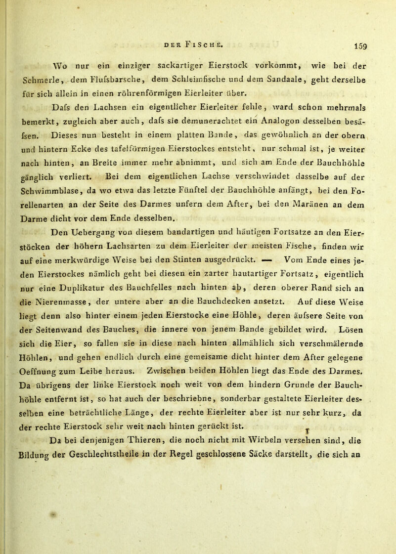 Wo nur ein einziger sackartiger Eierstock vorkommt, wie bei der Schrnerle, dem Flufsbarsche, dem Schleirnfisclie und dem Sandaale, geht derselbe fur sich allein in einen rohrenformigen Eierleiter iiber, Dafs den Lachsen ein eigentliclier Eierleiter fehle, ward schon mehrmals bemerkt, zugleich aber auch, dafs sie demunerachtet ein Analogon desselben besa- fsen. Dieses nun bestebt in einem platten Bande, das gewolinlich an der obern und hintern Ecke des tafeifbrmigen Eierstockes entstebt, nur schmal ist, je weiter nach hinten, an Breite immer rnehr abnimmt, und sicb am Ende der Baucbbohle ganglich verliert. Bei dem eigentlicben Lacbse verscbwindet dasselbe auf der Schwimmblase, da wo etwa das letzte Fiinftel der Baucbhobie anfangt, bei den Fo» rellenarten an der Seite des Darmes unfern dem After, bei den Maranen an dem Darme dicbt vor dem Ende desselben. Den Uebergang von diesem bandartigen und bautigen Fortsatze an den Eier- stocken der hohern Lacbsarten zu dem Eierleiter der meisten Fiscbe, linden wir auf eine merkwurdige Weise bei den Stinten ausgedriickt. —- Vom Ende eines je- den Eierstockes namlicb gebt bei diesen ein zarter hautartiger Fortsatz, eigentlich nur eine Duplikatur des Bauchfelles nach hinten ab, deren oberer Rand sich an die Nierenmasse, der untere aber an die Bauchdecken ansetzt. Auf diese Weise liegt denn also hinter einem jeden Eierstocke eine Hohle, deren aufsere Seite von der Seitenwand des Bauches, die innere von jenem Bande gebildet wird. Losen sich dieEier, so fallen sie in diese nach hinten allmahlich sich verschmalernde Hbhlen, und gehen endlich durch eine gemeisame dicht hinter dem After gelegene Oeffnung zum Leibe heraus. Zwischen beiden Hohlen liegt das Ende des Darmes. Da iibrigens der linke Eierstock noch weit von dem hindern Grunde der Bauch- hohle entfernt ist, so hat auch der beschriebne, sonderbar gestaltete Eierleiter des- selben eine betracbtlicbe Lange, der rechte Eierleiter aber ist nursehrkurz, da der rechte Eierstock sebr weit nach hinten geriickt ist. ^ Da bei denjenigen Thieren, die noch nicht mit Wirbeln versehen sind, die Bildung der Geschiechtstheiie in der Regel geschlossene Sacke darstellt, die sich an