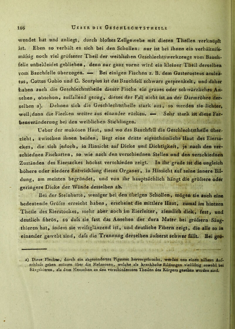 wendet liat und anliegt, durch blofses Zellgewebe mit diesen Theilen verkniipft 1st. Eben so verbiiit es sich bei den Schollen; nur 1st bei ihnen ein verhiiltnifs- mafsig noch vie! grofserer Theil der weiblichen Geschlechtswerkzeuge vom Bauch- felie unfaekleidet gebiieben, denn nur ganz vorne wird ein kleiner Theil derselbea vom Bauchfelle iiberzogen. — Bei einigen Fischen z. B. dem Gasterosteus aculea- tus, Gottus Gobio und C. Scorpius 1st dasBauchfeli schwarz gespr«nkelt, und daher liaben auch die Geschlechtstheile dieser J'ische ein graues oder schwarzliches An- sehen, obschon, auffallend genug, dieses der Fall nicht ist an der Darmrohre der- selben a). Dehnen sich die Geschlechtstheile stark aiis, so werden sie lichter, weiljdann die Flecken weiter aus einander ruckeii. — 5ehr stark ist diese Far* benveriinderung bei den weiblichen Stichlingen. Ueber der mukosen Haut , und wo das Bauchfel! die Geschlechtstheile liber* zieht, zwischen ihnen beiden, liegt eine dritte eigenthumliche Haut des Eiersa- okes, die sich jedoch, in Hinsicht auf Dicke und Dichtigkeit, je nach den veir- schiednen Fischarten, so wie nach den verschiednen Stellen und den verschiedhen Zustanden des Eiersackes hochst versehioden zeigt. In ihr grade ist die ungleich hohere oder niedere Entwicklung dieses Organes, in Hinsicht auf seine innere Bil- dung, am meisten begrundet, und von ihr hauptsachlich hangt die grofsere odesr geringere Dicke der Wande desselben ab. Bei der Steinbutte, weniger bei den iibrigen Schollen, mogen sie auch eine bedeutende Grofse erreicht haben, erscheiat die mittlere Haut, zumal im hintern Theile des Eierstockes, mehr aber noch im Eierleiter, ziemlich dick, fest, und deutlich fibres, so dafs sie fast das Ansehen der dura Mater bei grbfsern Saug- thieren hat, indem sie weifsglanzend ist, und deutliche Fibern zeigt, die alle so in einander gewebt sind, dafs die Trennung derselben aufserst schwer :KlIt. Bei grd- a) Diese Flecken,' durcb ein abgeeondertes Pigment hervorgebraclit, werdfin uns einfiti niihem Auf- scblufs geben miissen iiber die Melanosen,. welche jals krankhafte Bildungen vielfaltig sovrohl bei SSugcliieren, als dem Menschexi an den verschiedensten Theilen des Korpers gesehen worden sind.