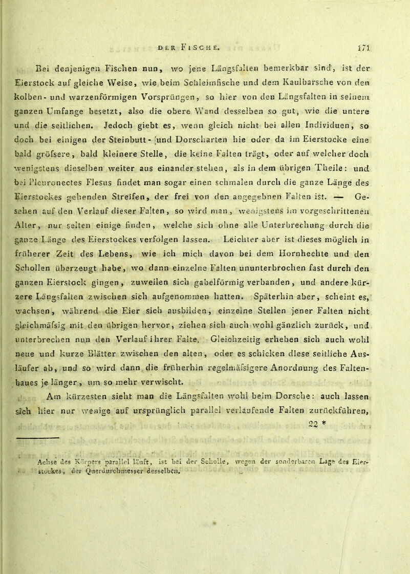 Bei denjenigen Fischen nun, wo jene Langsfalleu bemerKbar slndb ist der Eierstock auf gleiclie Weise, wie beim Scliieimfische und dam Kaulbarsche von den kolben- und warzenfbrmigen Vorsprilngen, so hier von den Langsfalten in seinem ganzen Urafange besetzt, also die obere Wand desselben so gut, wie die untere und die seitlichen. Jedoch giebt es, Avenn gieicli nicht bei alien Individuen, so docn bei einigen der Steinbutt - [und Dorscharten hie oder da im Eierstocke eine bald grofsere, bald kleinere Stelle, die keine Fallen Iriigt, oder auf welcher doch wenigstens dieselben weiter aus einander stelien, als in dem iibrigen Theile; und bei Pleuronectes Flesus findet man sogar einen schmalen durch die ganze Lange des Eierstockes ccebenden Streifen, der frei von den aopee^ebnen Fallen ist. — Ge- sehen auf den Verlauf dieser Falten, so wird man, we-nigstens im vorgeschritteneu Alter, nur selten einige finden, Avelche sich ohne alle Unterbrechung durch die gauze Lange des Eierstockes verfolgen lassen. Leichter aber ist dieses moglich in friiherer Zeit des Lebens, wie ich mich davon bei dem Hornhechte und den Schollen tiberzeugt habe, avo dann einzelne Falten ununterbrochen fast durch den ganzen Eierstock gingen, zuAveilen sich gabelformig verbanden, und andere kiir- zere Liingsfaiten zwischen sich aufgenommen batten. Spaterhin aber, scheint es, Avachsen, Avahrend die Eier sich ausbiiden, einzelne Stelien jener Falten nicht glgichmafsig mit den ubrigan hervor, ziehen sich auchiAVohl ganzlich zuriick, und unterbrechen nun den Verlauf ihrer Falte, Gleichzeitig erheben sich auch wolil neue und kurze Blatter ZAvischen den alten, oder es schicken diese seitliche Aus- laufer ab, und so Avird dann die friiherhin regelniafsigere Anordnung des Falten- baues je langer, um so inehr verAvischt. Am kiirzesten sieht man die Langsfalten AAmhi beim Dorsche: auch lassen SJch liter nur AA^enige auf urspriinglich parallel verlaufende Falten zurilckfuhren, 22 * , . Aclise ties Korpers parallel liiuft, ist bei der Scbolle, wegen der sonderbaren Lage des Eier- if - ■' stockes, der Qnerdiircbmesser desselben.