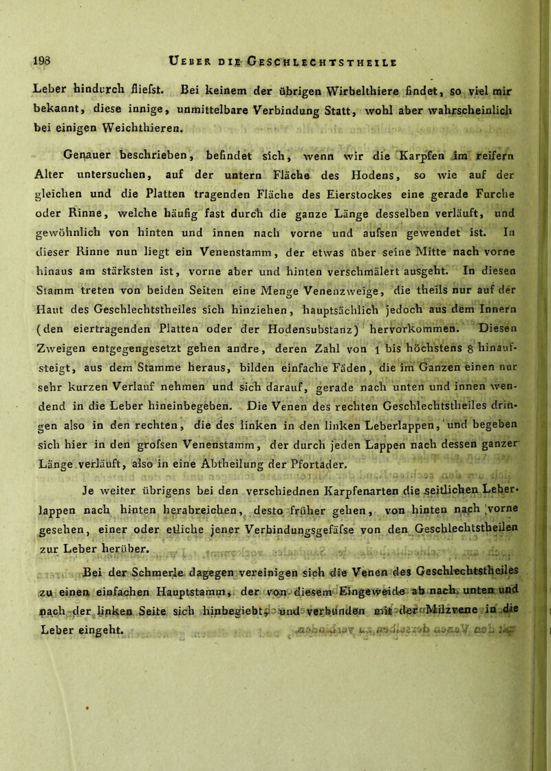 Leber faindurcb fliefst. Bei keinem der iibrigen Wirbelthiere findet, so vi'el mir bekannt, diese innige, unmittelbare Verbindung Statt, wohl aber wahrscheinlicli bei einigen Weichthieren. Get^auer bescbrieben, befindet slcb, wenn wir die Karpifen im reifern Alter untersuchen, auf der untern Flache des Hodens, so wie auf der gleichen und die Flatten tragenden Flache des Eierstockes eine gerade Furche oder Rinne, welche haufig fast durcli die ganze Lange desselben verlauft, und gewohnlich von hinten und innen nach vorne und aufsen gewendet ist. In dieser Rinne nun liegt ein Venenstamm, der etwas fiber seine Mitte nach vorne hinaus am starksten ist, vorne aber und hinten verschmalert ausgeht. In diesen Stamm treten von beiden Seiten eine Menge Venenzweige, die theils nur auf der Haut des Geschlechtstheiles sich hinziehen, hauptsachlich jedoch aus dem Innern (den eiertragenden Flatten oder der Hodensubstanz) ^ hervorkommen. Diesen Zweigen entgegengesetzt gehen andre, deren Zahl von i bis hochstens 8 hinauf- steigt, aus dem Stamme heraus, bilden einfache Faden, die im Ganzen einen nur sehr kurzen Verlauf nehmen und sich darauf, gerade nach unten und innen wen- dend in die Leber hineinbegeben. Die Venen des rechten Geschlechtstheiles drin- gen also in den rechten, die des iinken in den linken Leberlappen,'und begeben sich hier in den grofsen Venenstamm, der durch jeden Lappen nach dessen ganzer Lange verlauft, also in eine Abtheiiung der Pfortader, Je weiter fibrigens beiden verschiednen Karpfenarten die seitlichen Leber* lappen nach hinten herabreichen, desto frfiher gehen, von hinten naph [vorne gesehen, einer oder etliche jener Verbindungsgefafse von den Geschlechtstheilen zur Leber herfiber. Bei der Schmerle-dagegen vereinigen sich die Vehen des Geschl-echtstheiles ztt: einen eiafachen Hauptstamm^i. der vnnodiesem^EingewMdsO abmachi untea und naeh,-)JerJinken Seite sich hinbe^iebt^i'^nd&verb.Unden mii dernMflzveaeviu cUe Leber eingeht.