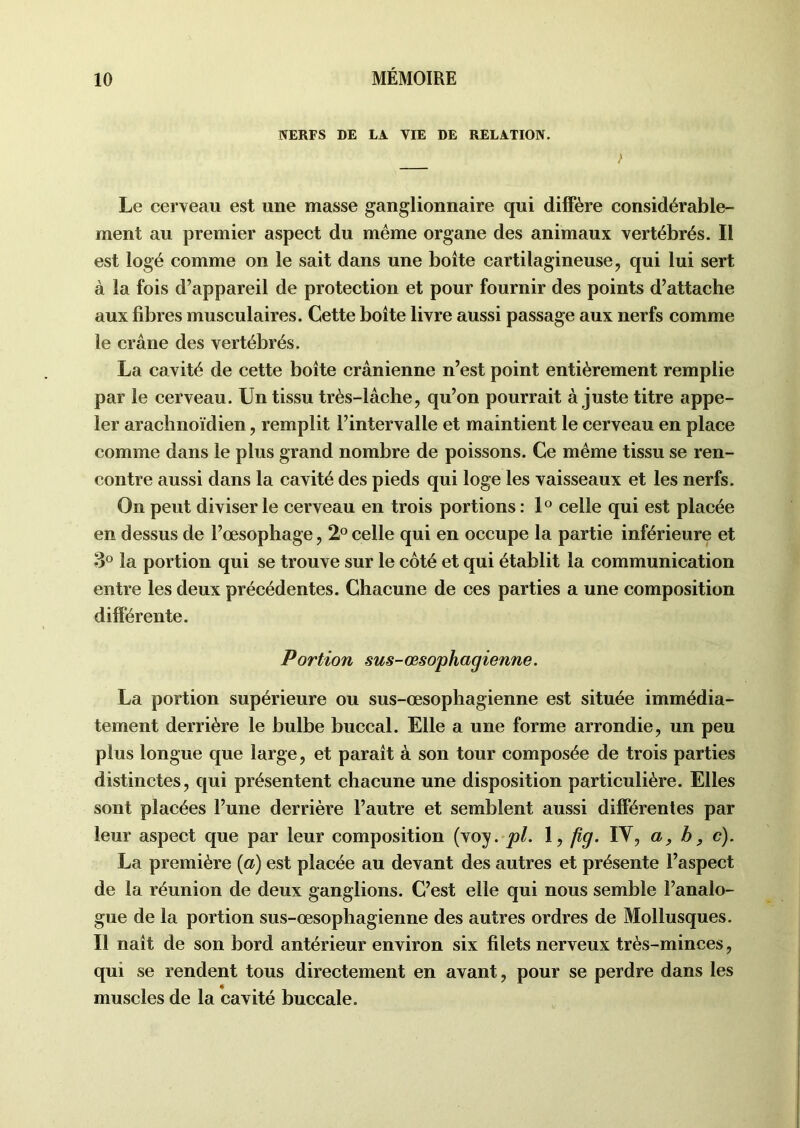 NERFS DE LA VIE DE RELATION. / Le cerveau est une masse ganglionnaire qui diffère considérable- ment au premier aspect du même organe des animaux vertébrés. Il est logé comme on le sait dans une boîte cartilagineuse, qui lui sert à la fois d’appareil de protection et pour fournir des points d’attache aux fibres musculaires. Cette boîte livre aussi passage aux nerfs comme le crâne des vertébrés. La cavité de cette boîte crânienne n’est point entièrement remplie par le cerveau. Un tissu très-lâche, qu’on pourrait a juste titre appe- ler arachnoïdien, remplit l’intervalle et maintient le cerveau en place comme dans le plus grand nombre de poissons. Ce même tissu se ren- contre aussi dans la cavité des pieds qui loge les vaisseaux et les nerfs. On peut diviser le cerveau en trois portions : 1° celle qui est placée en dessus de l’œsophage, 2° celle qui en occupe la partie inférieure et 3° la portion qui se trouve sur le côté et qui établit la communication entre les deux précédentes. Chacune de ces parties a une composition différente. Portion sus-œsophagienne. La portion supérieure ou sus-œsophagienne est située immédia- tement derrière le bulbe buccal. Elle a une forme arrondie, un peu plus longue que large, et paraît à son tour composée de trois parties distinctes, qui présentent chacune une disposition particulière. Elles sont placées l’une derrière l’autre et semblent aussi différentes par leur aspect que par leur composition (voy. pl. 1, fig. IY, a, h, c). La première {a) est placée au devant des autres et présente l’aspect de la réunion de deux ganglions. C’est elle qui nous semble l’analo- gue de la portion sus-œsophagienne des autres ordres de Mollusques. Il naît de son bord antérieur environ six filets nerveux très-minces, qui se rendent tous directement en avant, pour se perdre dans les muscles de la cavité buccale.